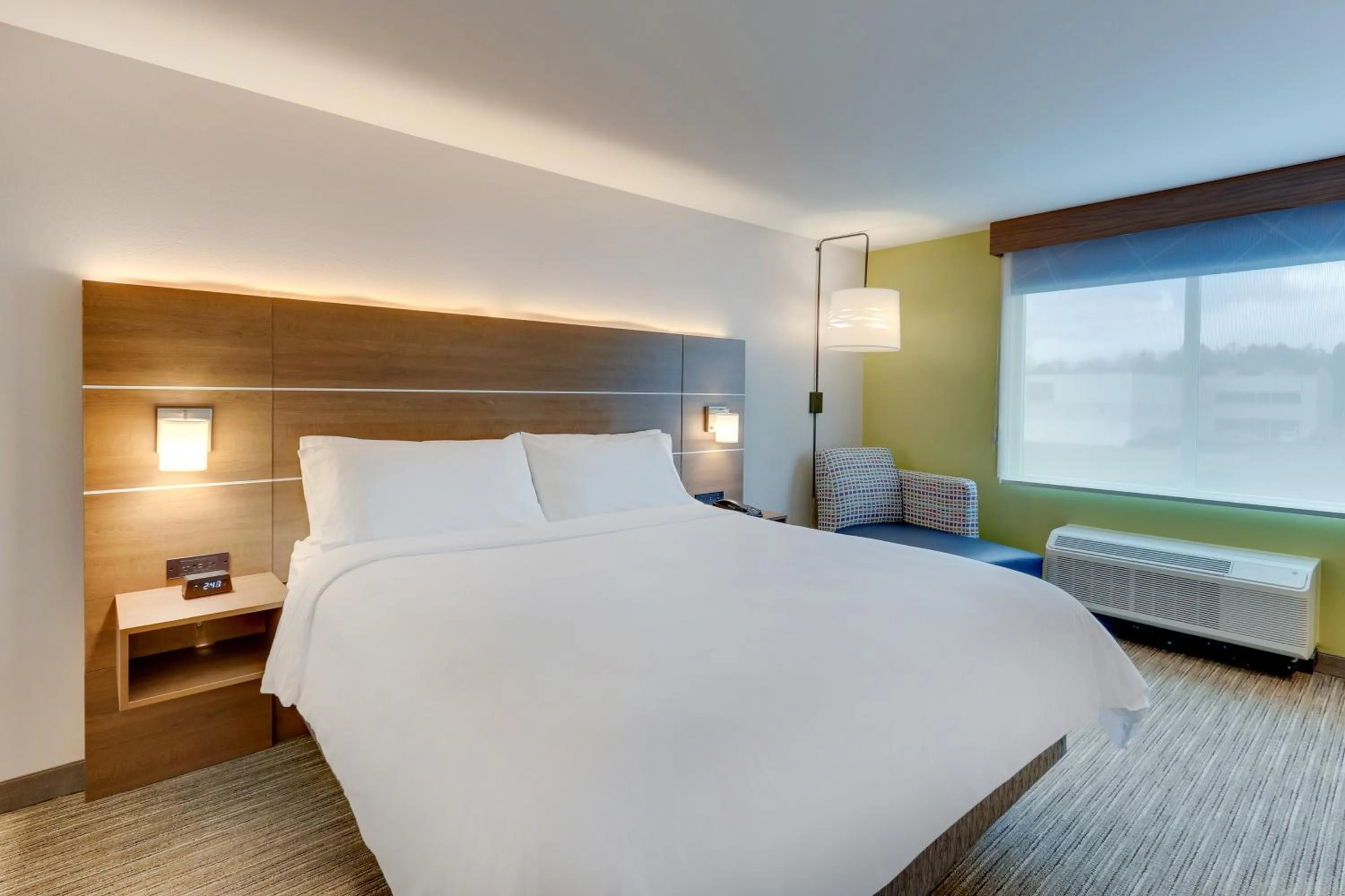 Photo of the whole room, Bed in Holiday Inn Express & Suites - Dawsonville by IHG