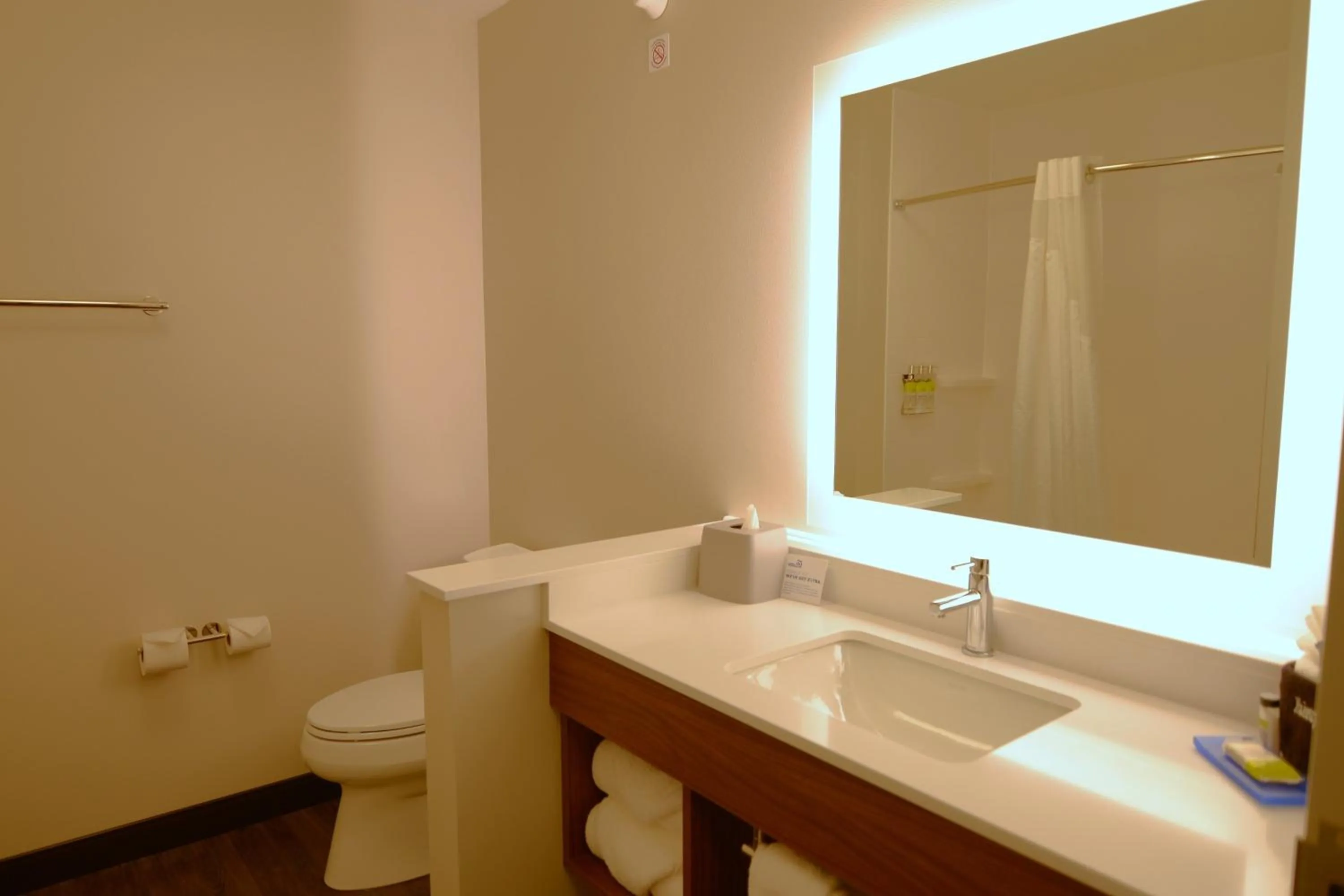 Bathroom in Holiday Inn Express & Suites Onalaska - La Crosse Area by IHG