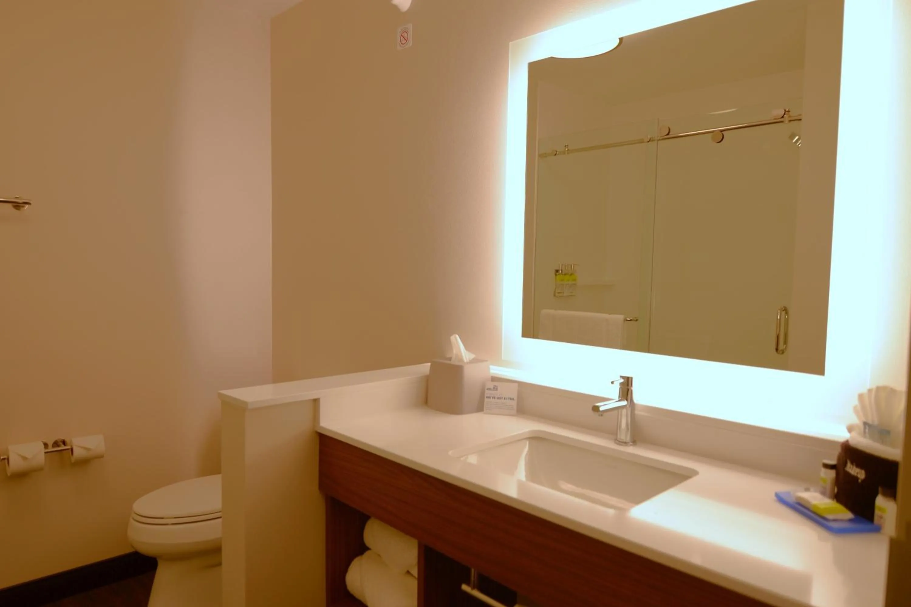 Bathroom in Holiday Inn Express & Suites Onalaska - La Crosse Area by IHG