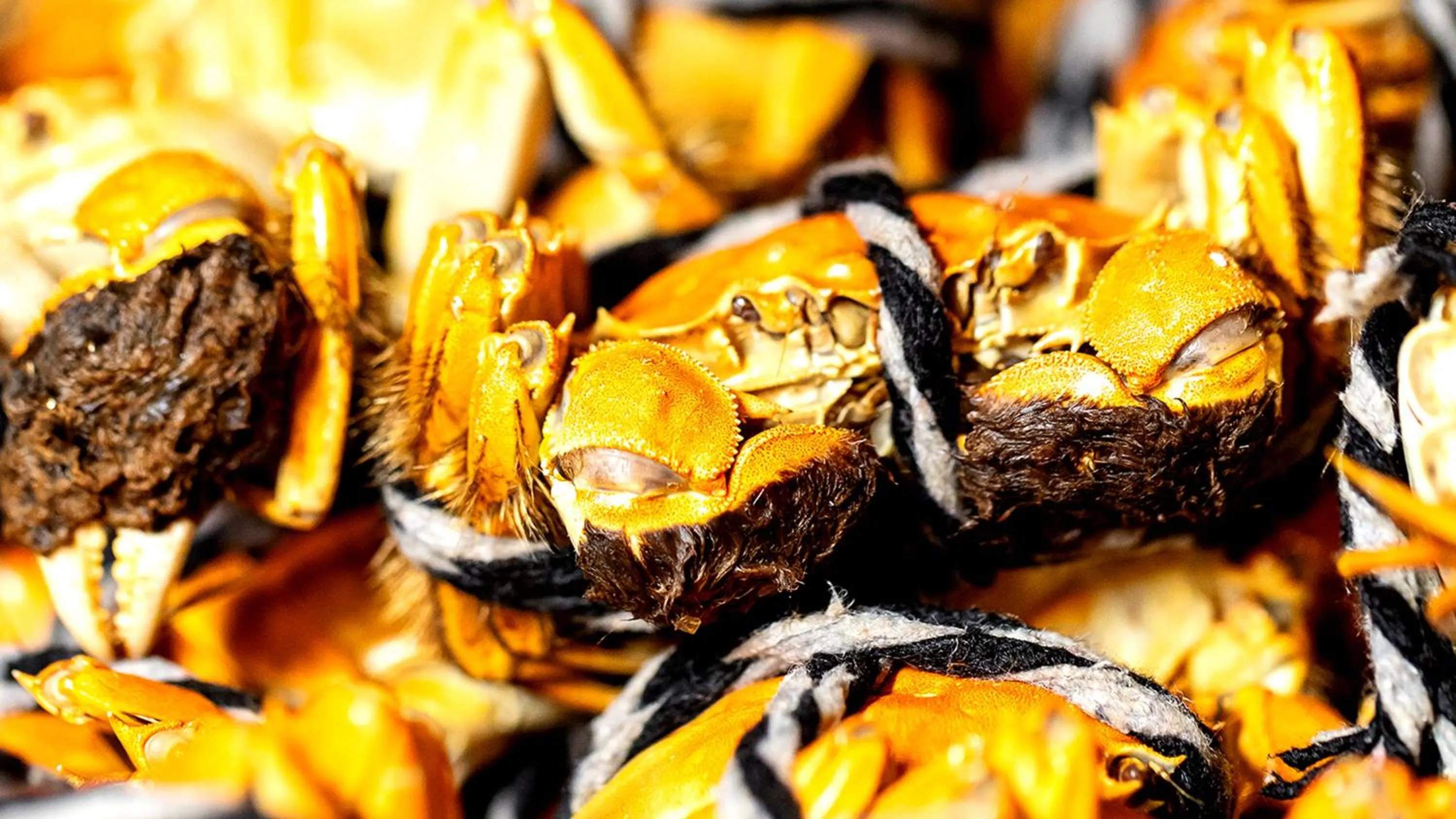 Restaurant/places to eat in Crowne Plaza Dalian Xinghai by IHG