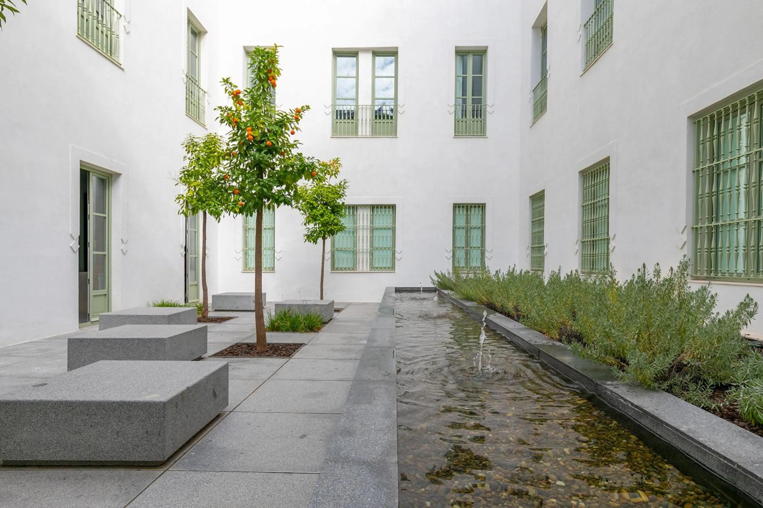 Patio in Holiday Rentals Los Salados