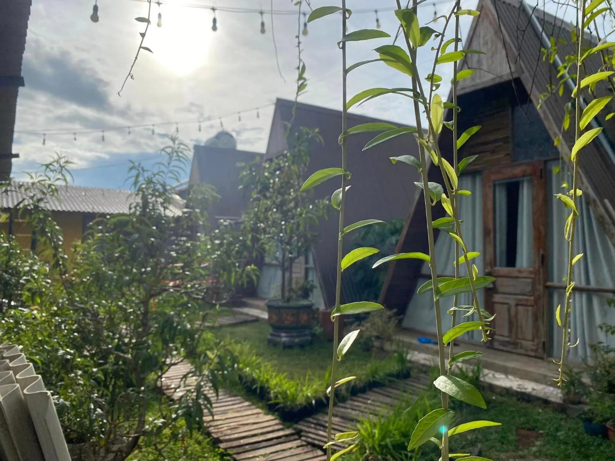 Property building in Nhà của Nếp