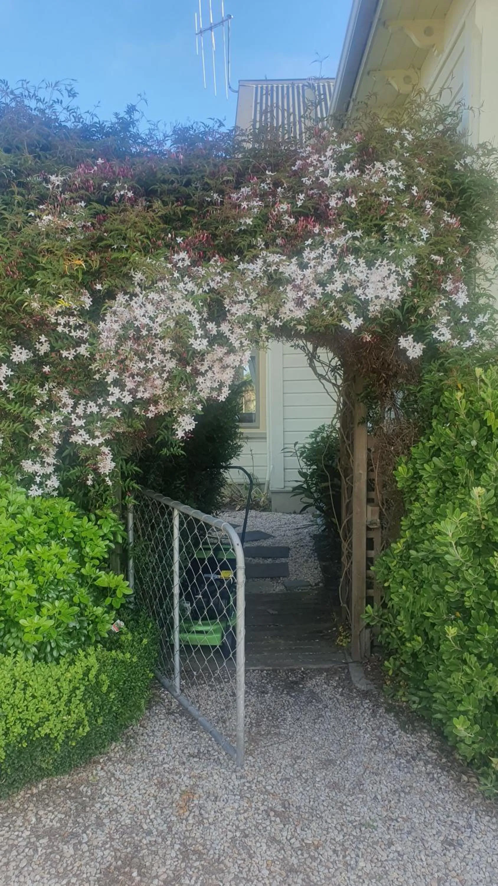 Garden in Century House B & B flatlette