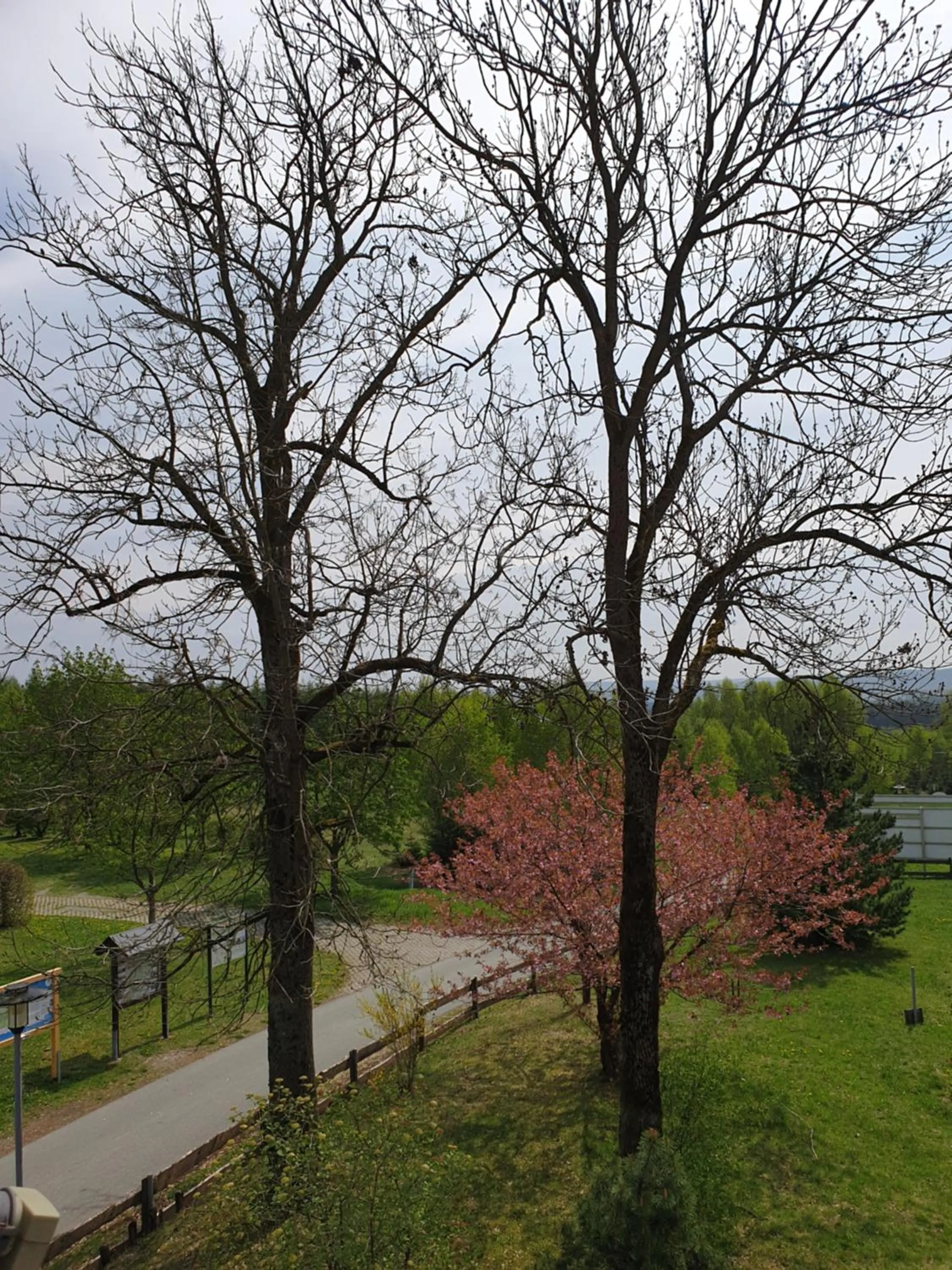 Garden in Berghotel Drei Brüder Höhe