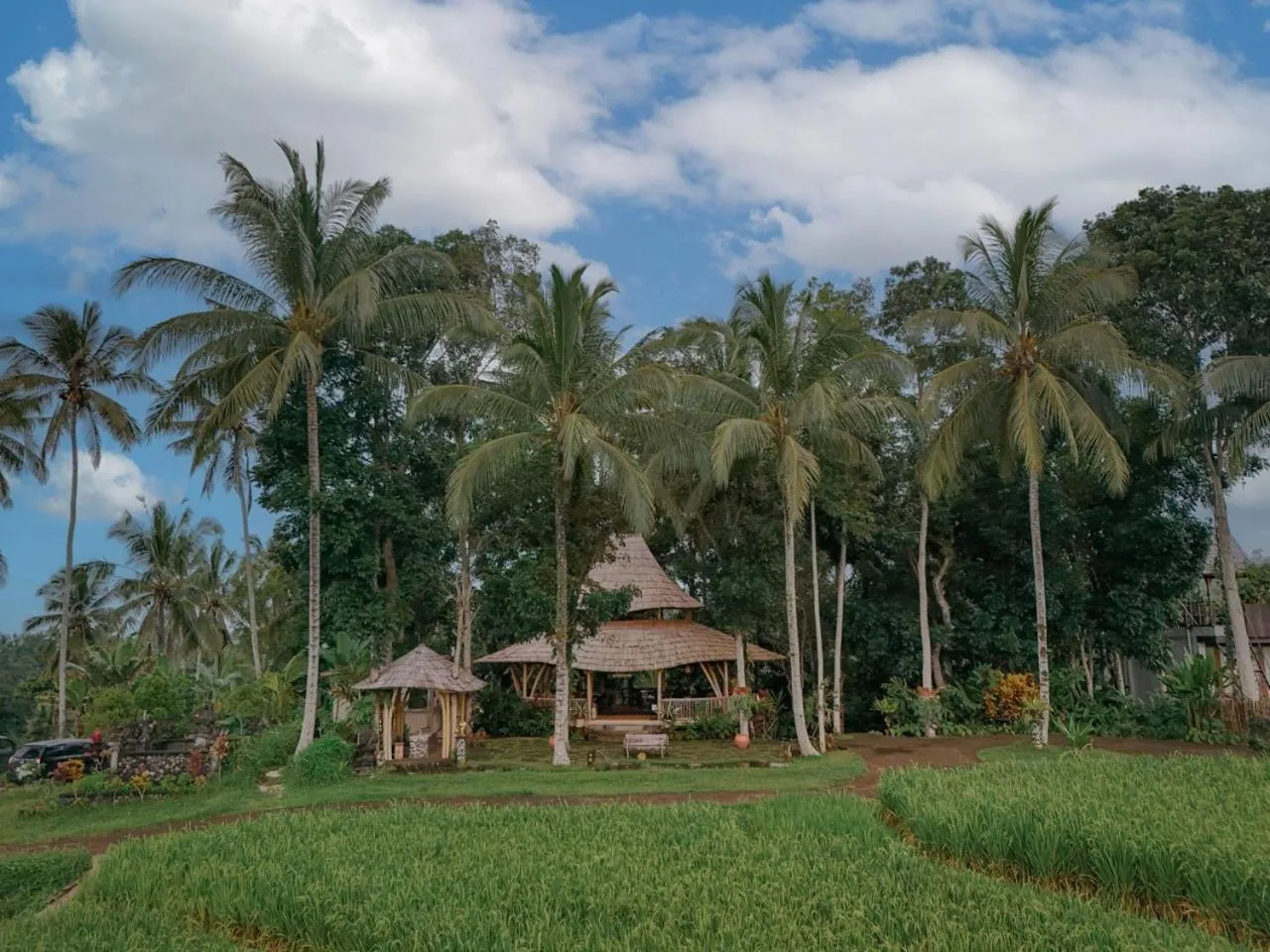 Asep Gumi Retreat - Soul of Nature in Tabanan