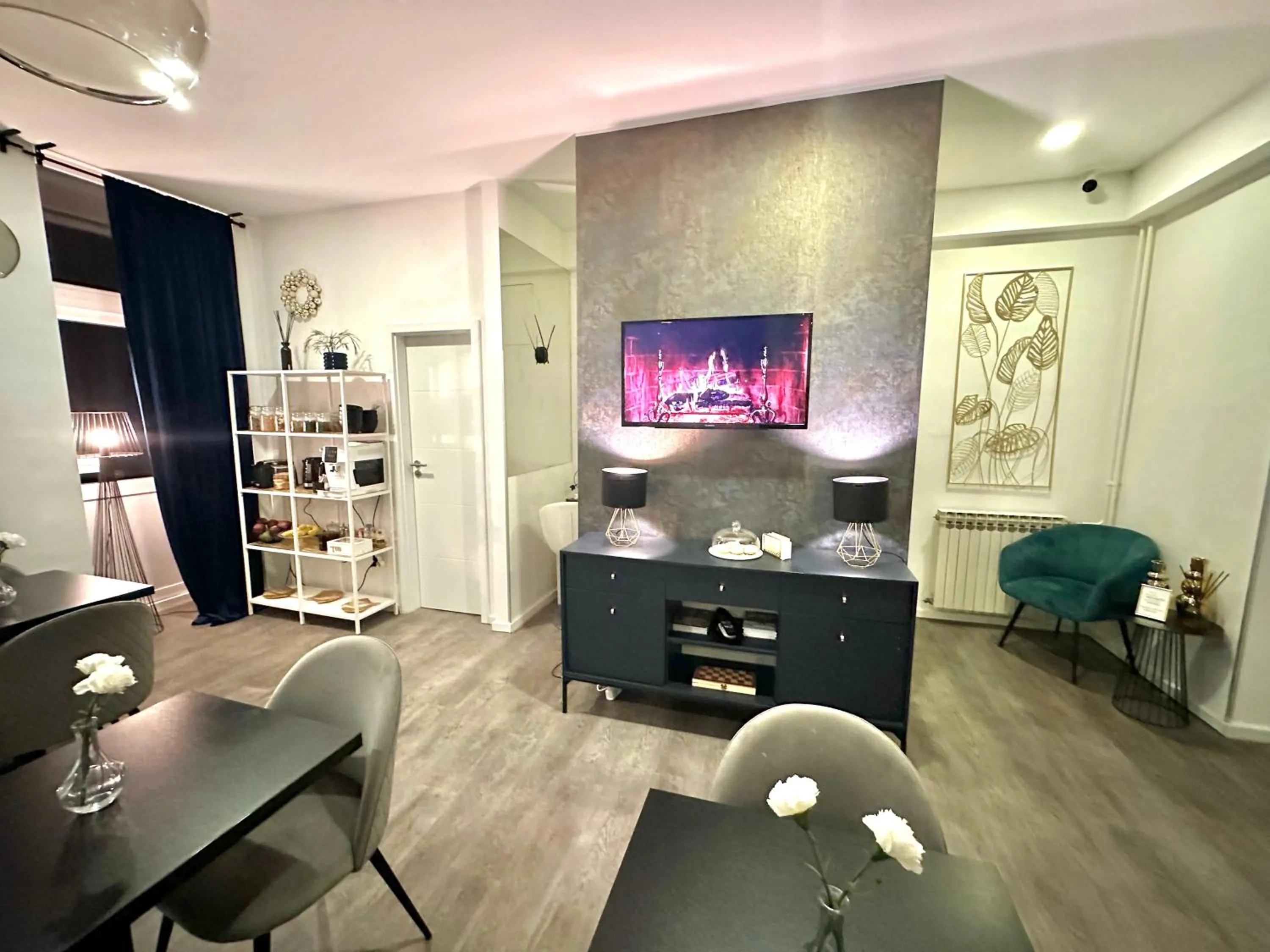 TV and multimedia in Bed & Breakfast Donji Grad