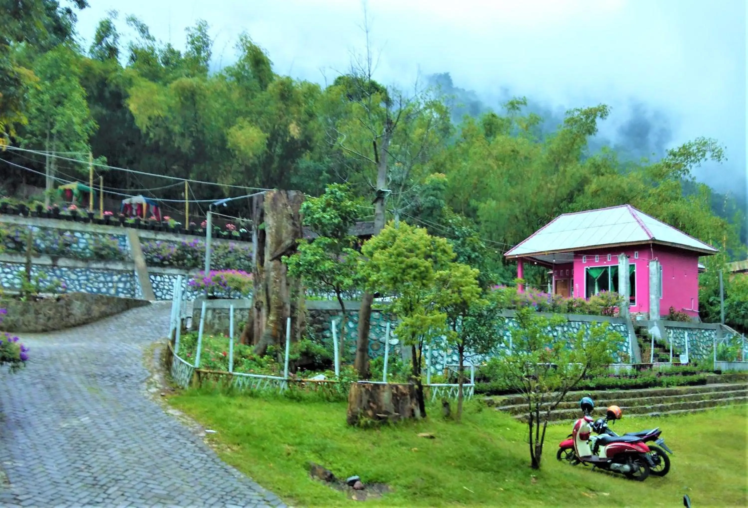 Other in Penginapan Puncak DP