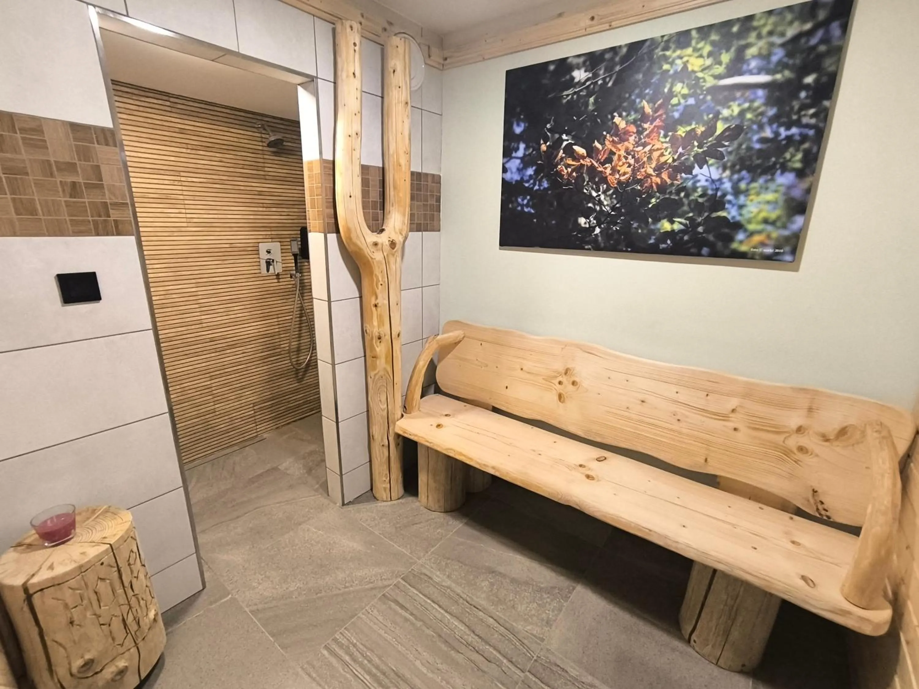 Sauna in Hotel Džbán