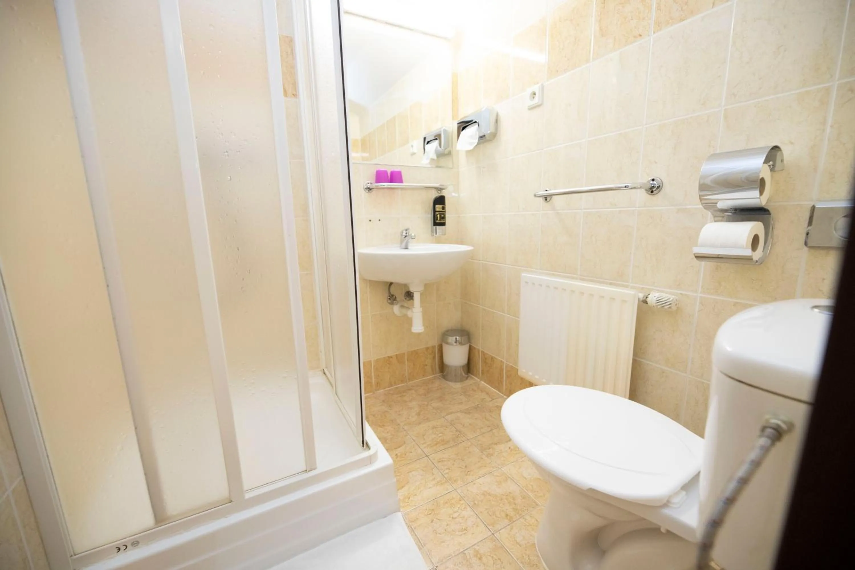 Toilet in Hotel Džbán