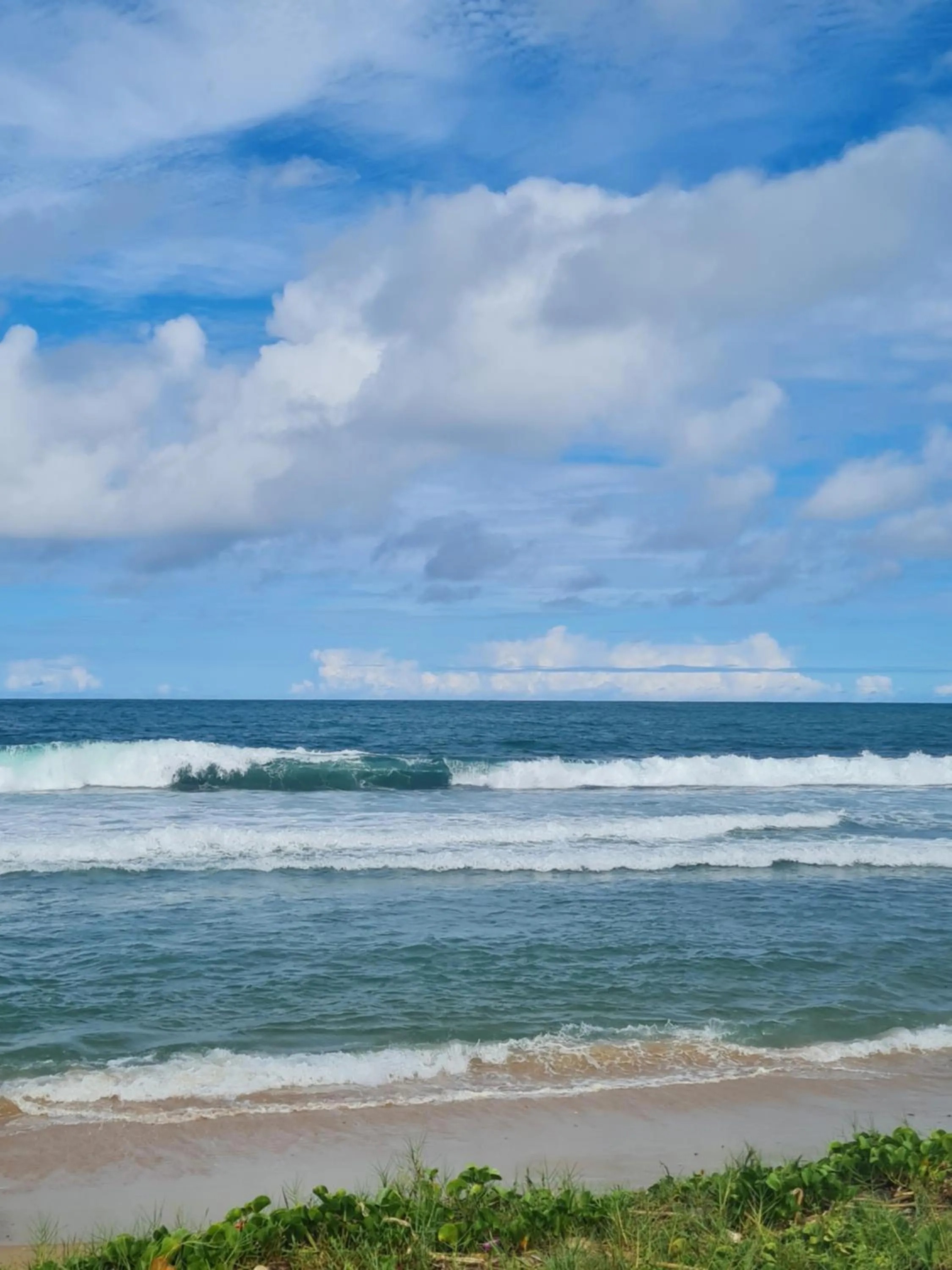 Swimming pool in Flat Beach Class Muro Alto 1107