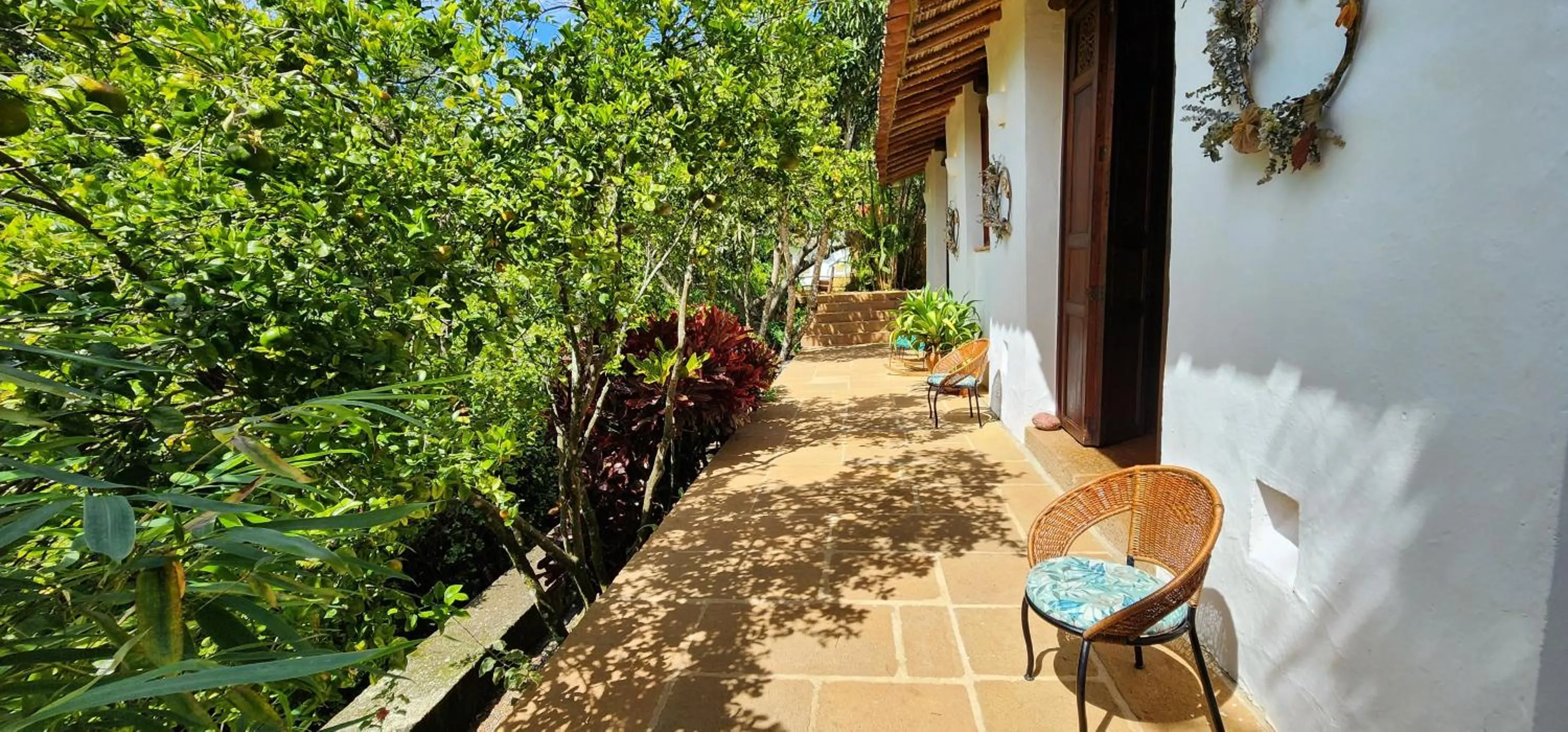 Garden in Casa Yahri