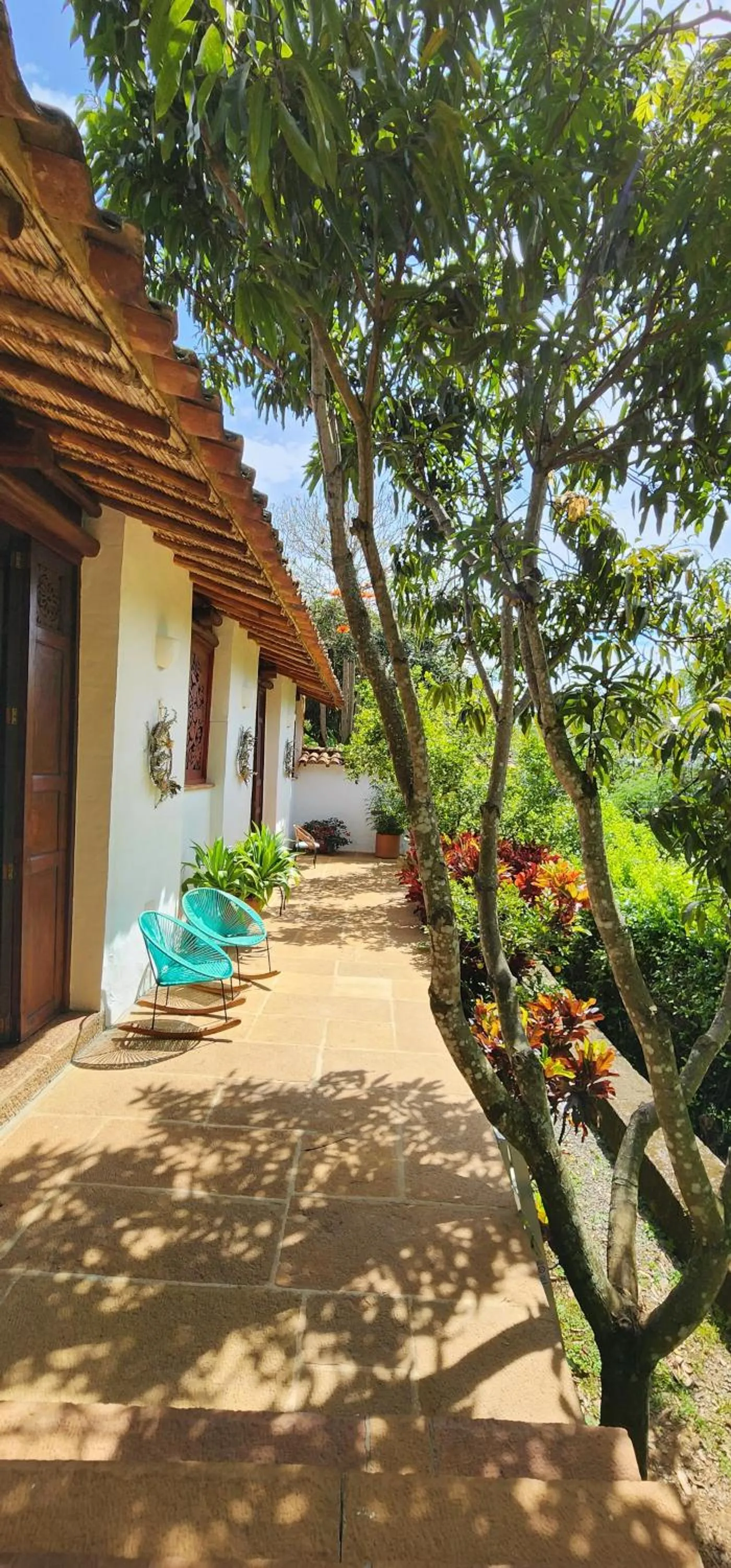 Garden in Casa Yahri