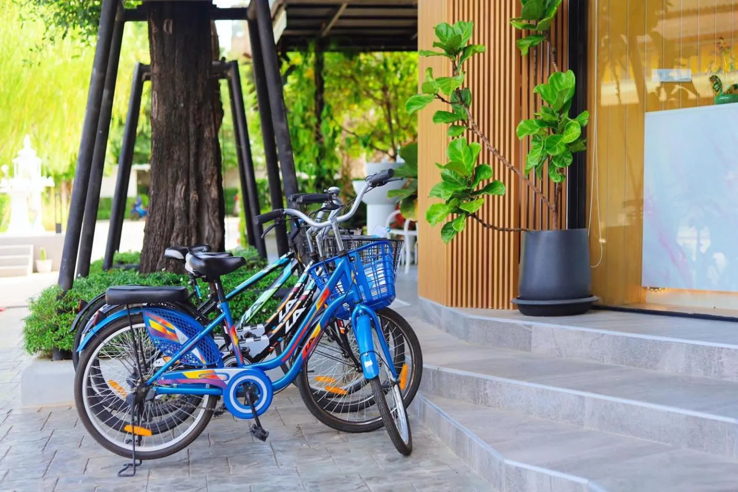 Cycling in Ananzitra Hotel