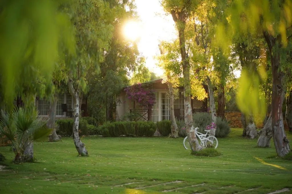 View (from property/room) in Datça Dirik Surf Beach Hotel