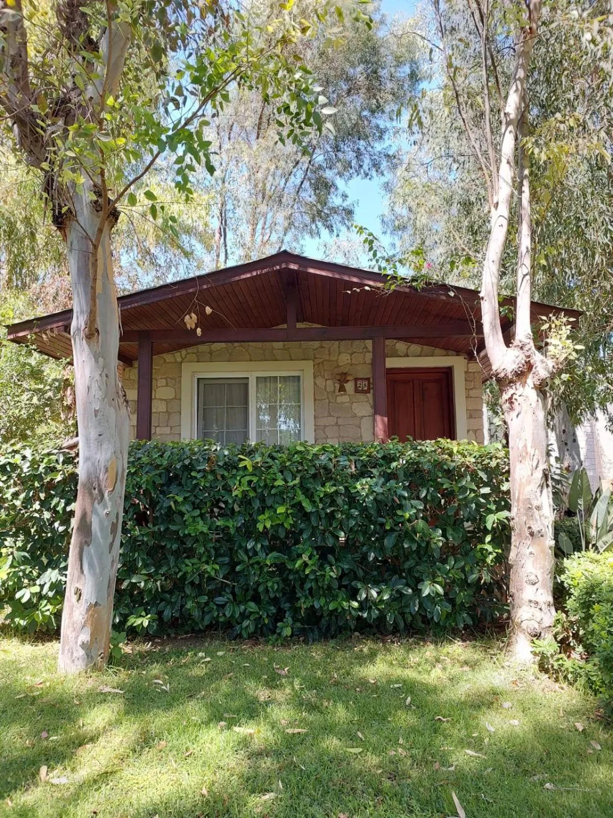 Garden view in Datça Dirik Surf Beach Hotel