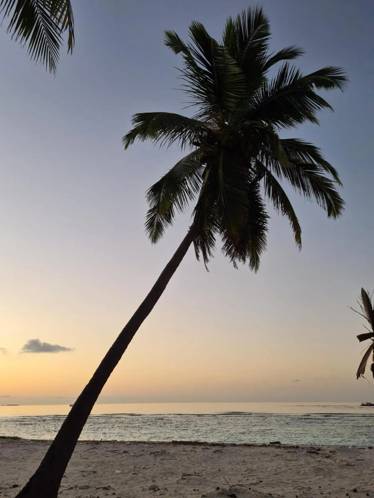 Natural landscape in Kamadhoo Inn