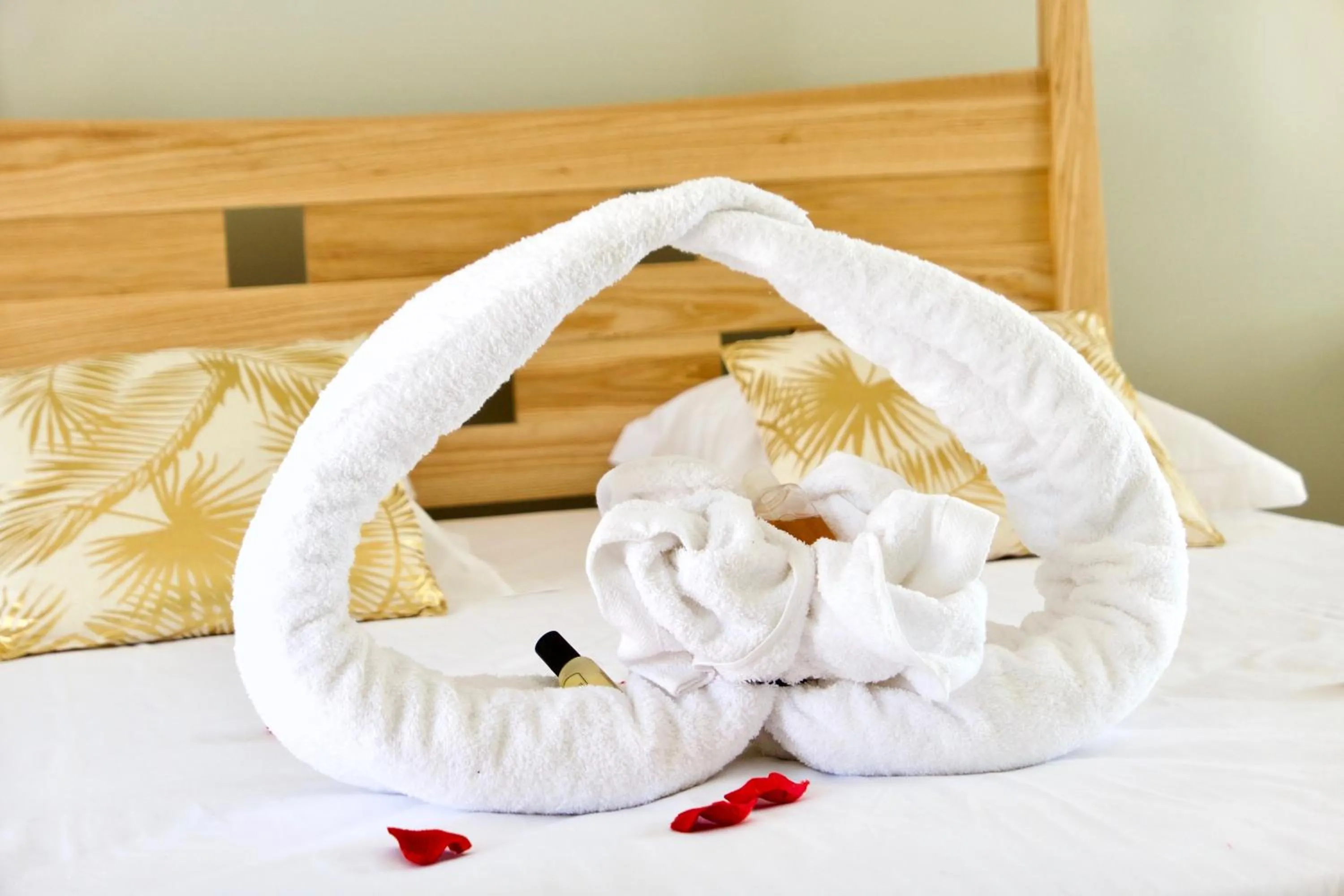 Bed in Karucoco Lodge