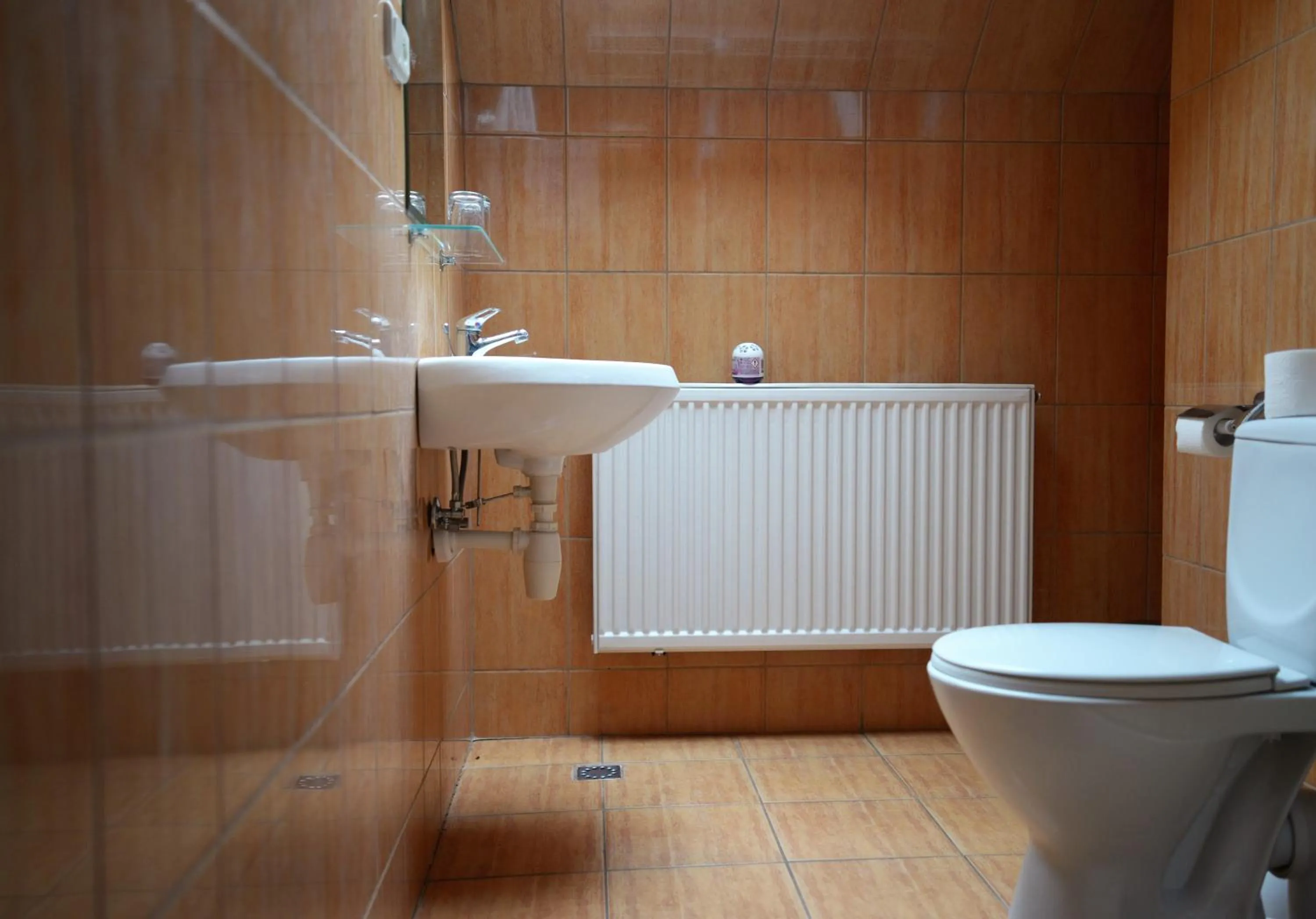 Toilet in Gościniec Czarci Młyn