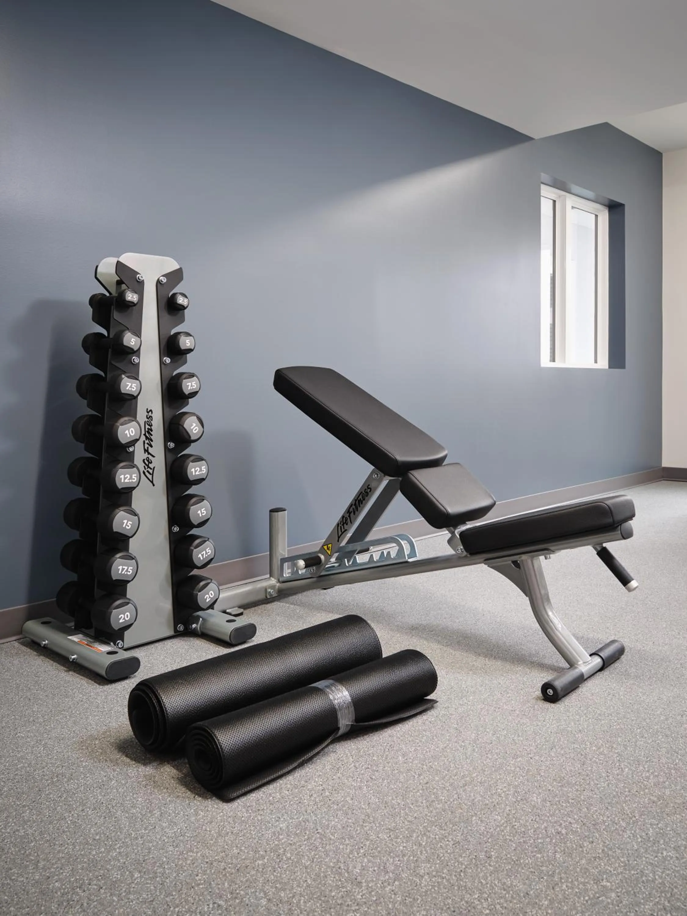 Fitness centre/facilities in stayAPT Suites Chattanooga-Ooltewah/VW