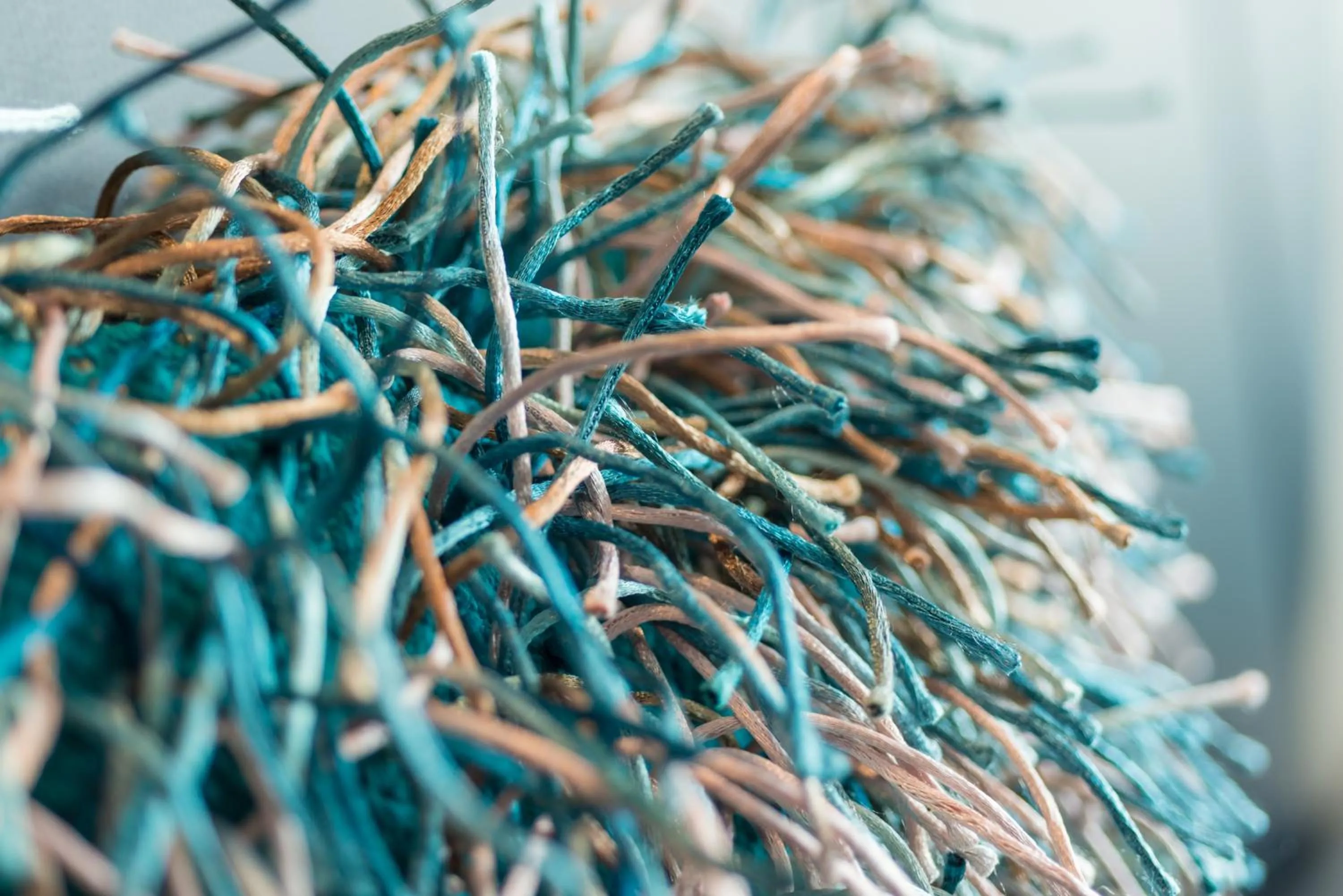 Restaurant/places to eat in Rheinterrassen Hotel Café Restaurant