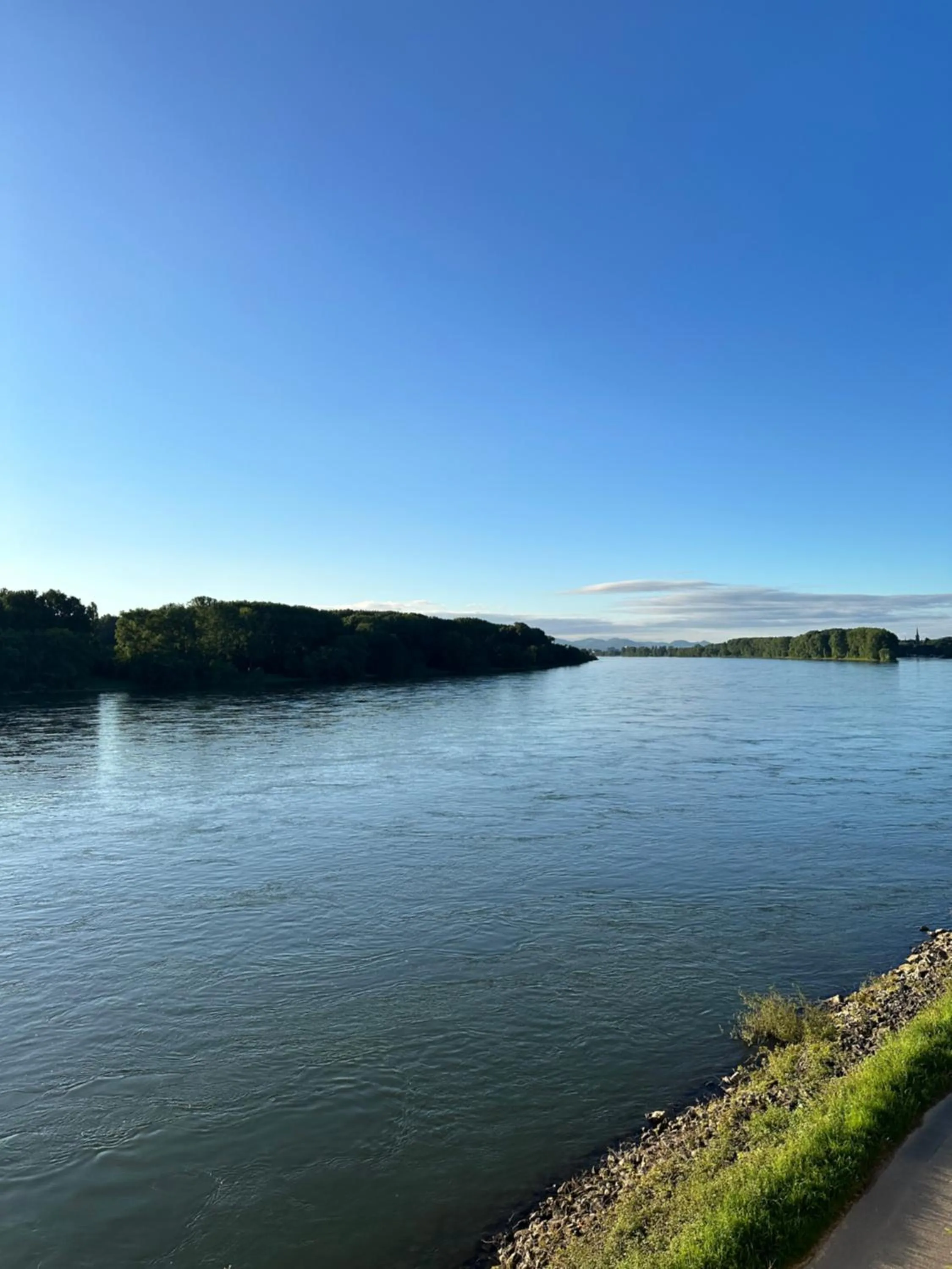 Natural landscape in Rheinterrassen Hotel Café Restaurant