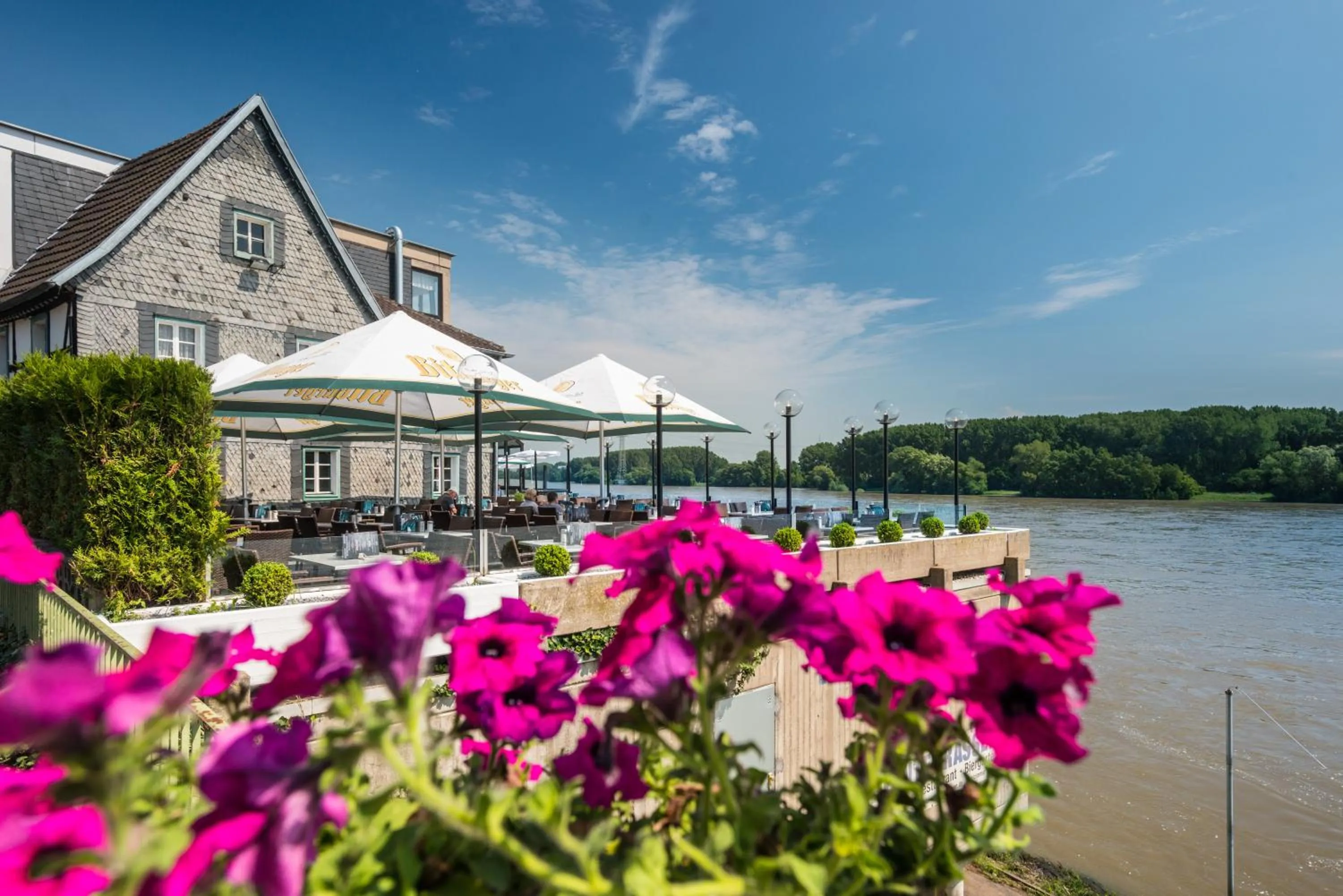 Property building in Rheinterrassen Hotel Café Restaurant