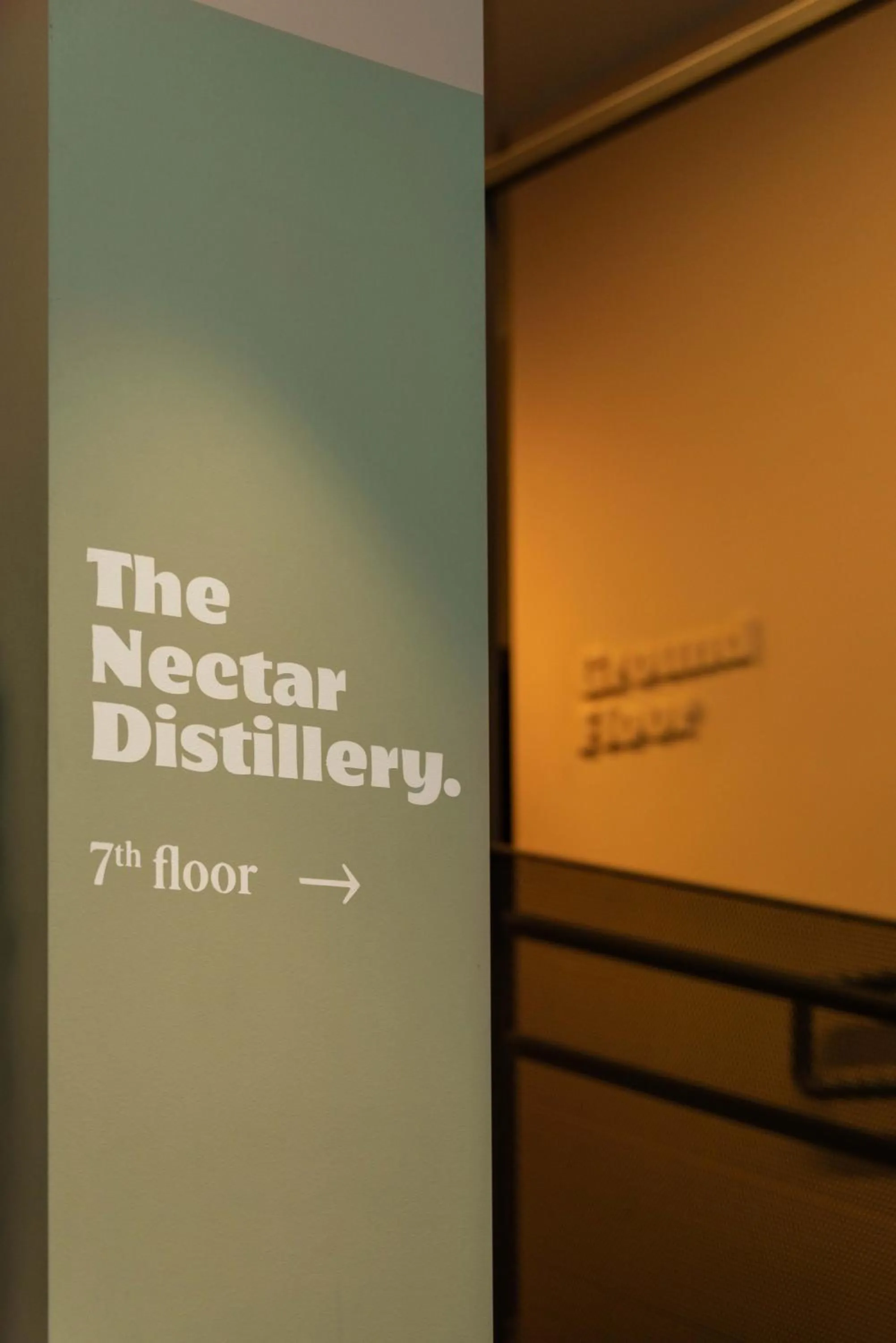 Property building in Zeus is Loose Hostel