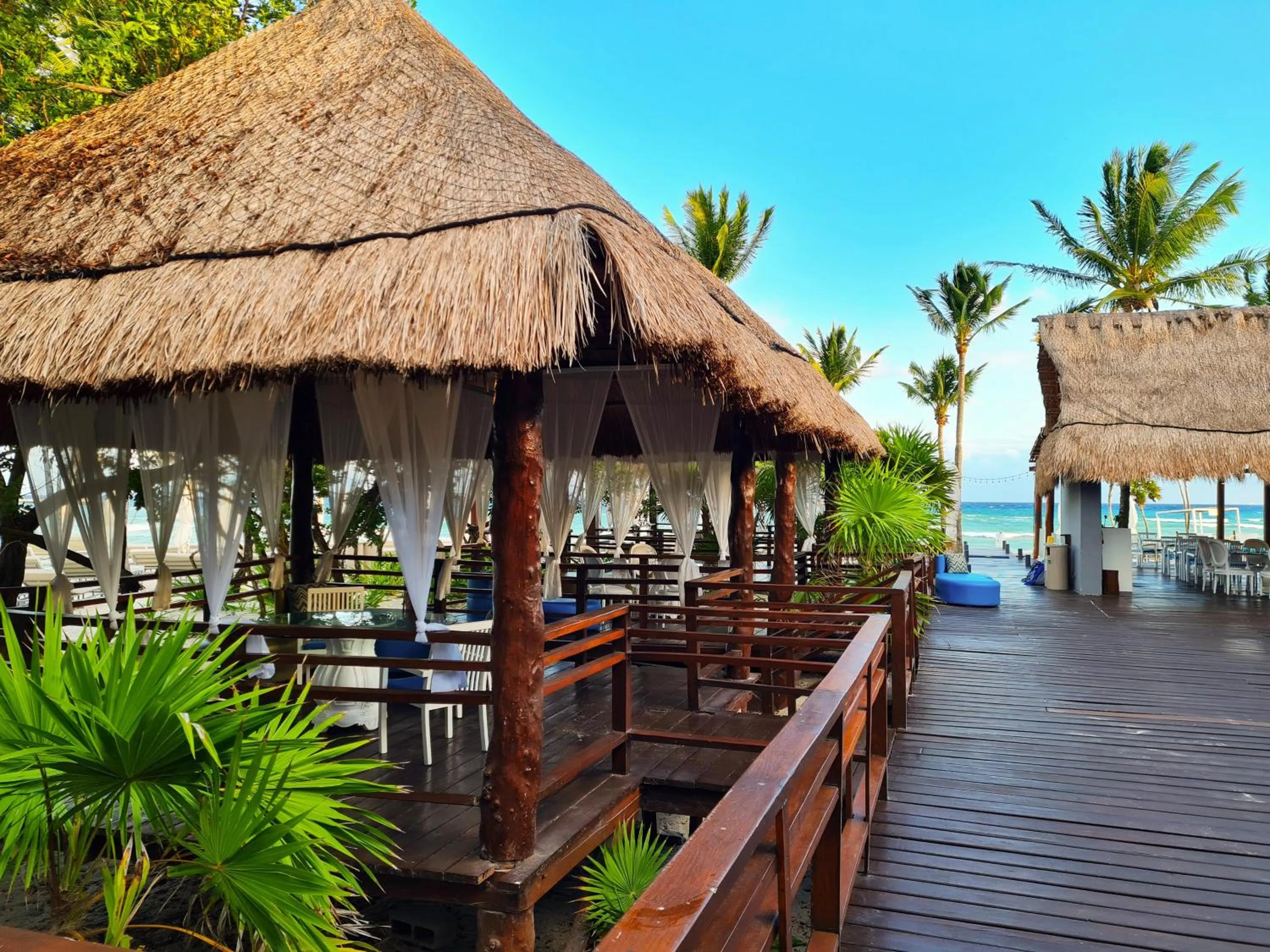 Lounge or bar in Grand Sunset Princess - All Inclusive