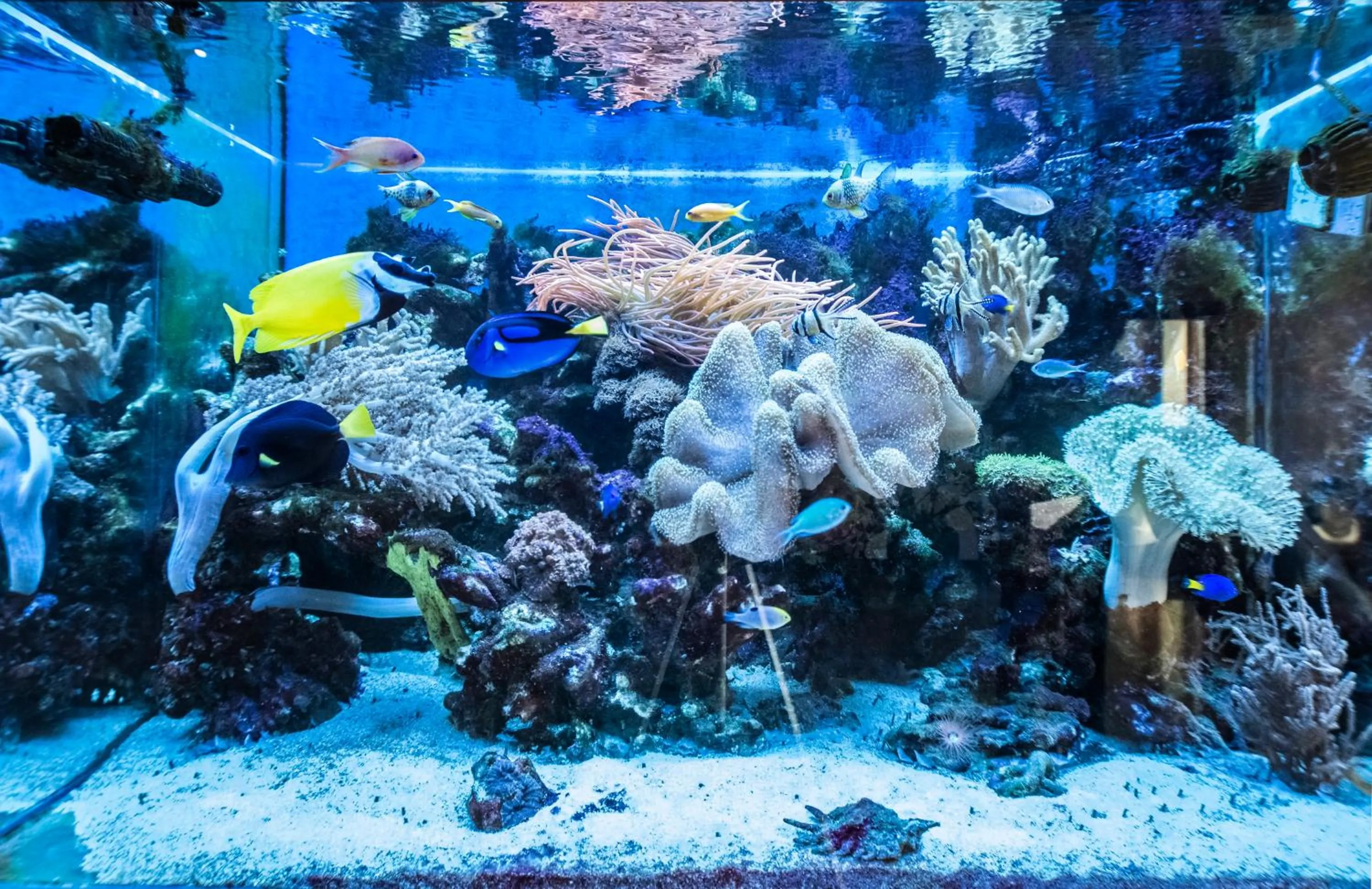 View (from property/room) in Złote Arkady