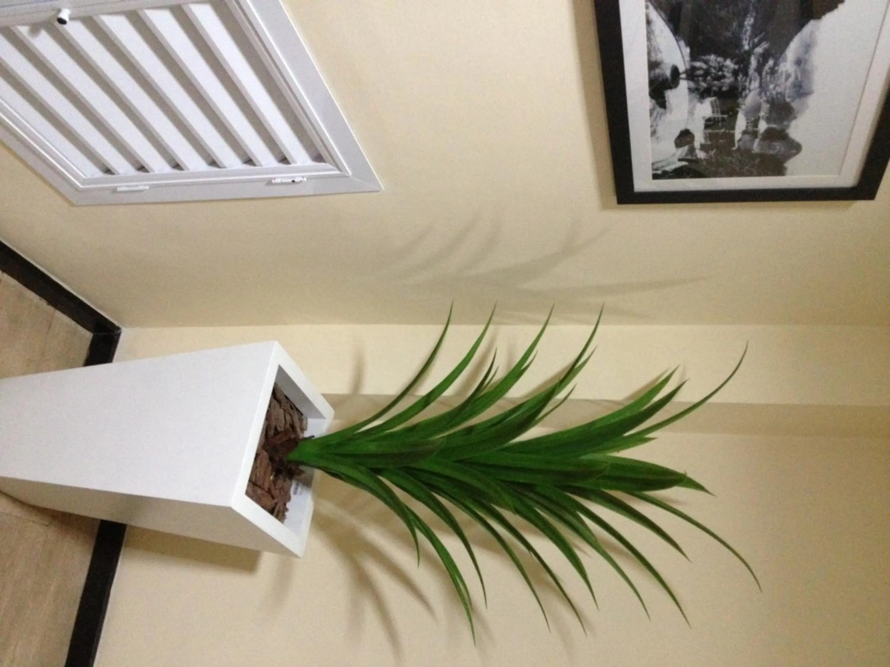 Decorative detail in Hotel Meu Cantinho (Adults Only)