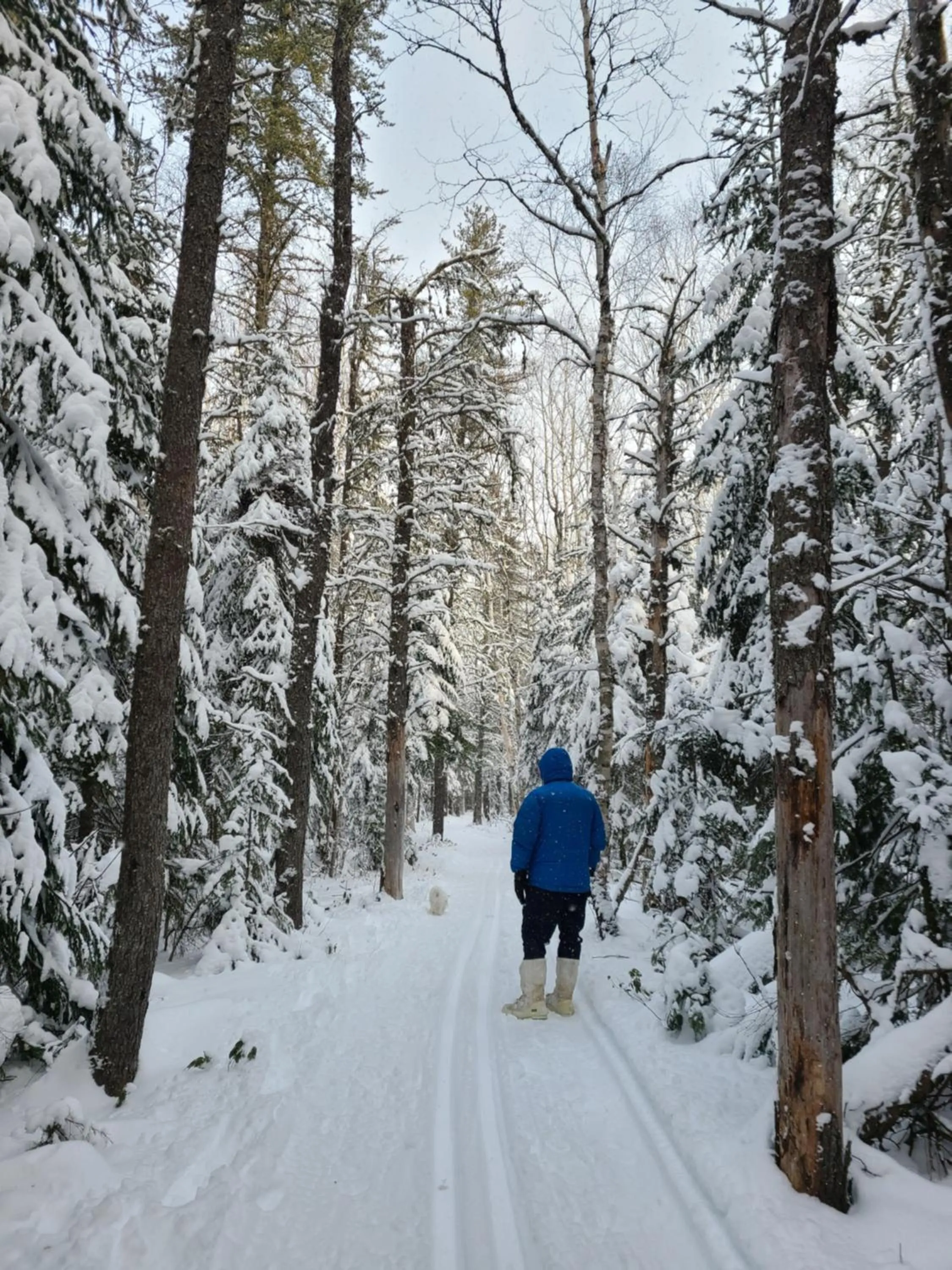 Natural landscape in Horizon 777