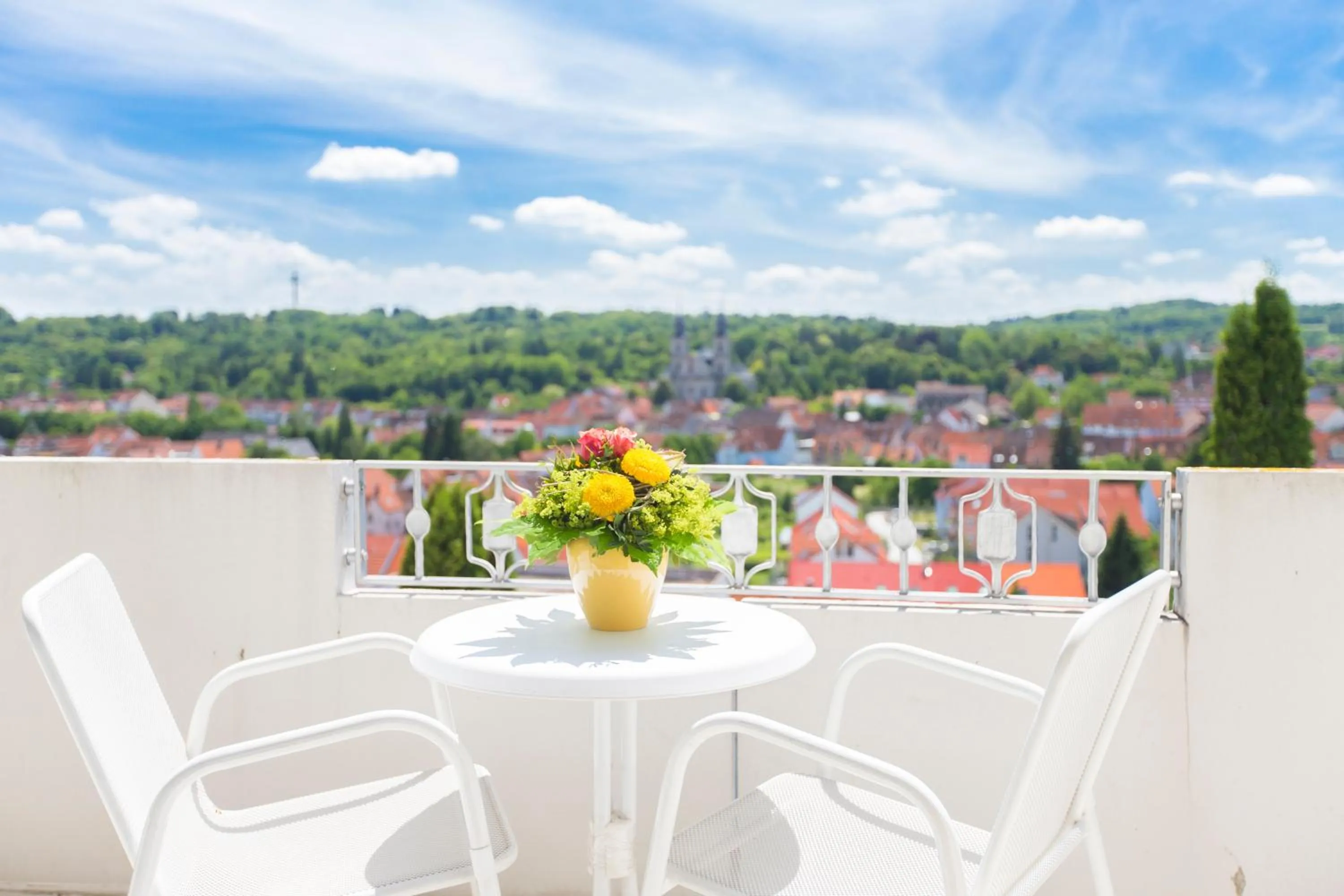 City view in Hotel Scheffelhöhe
