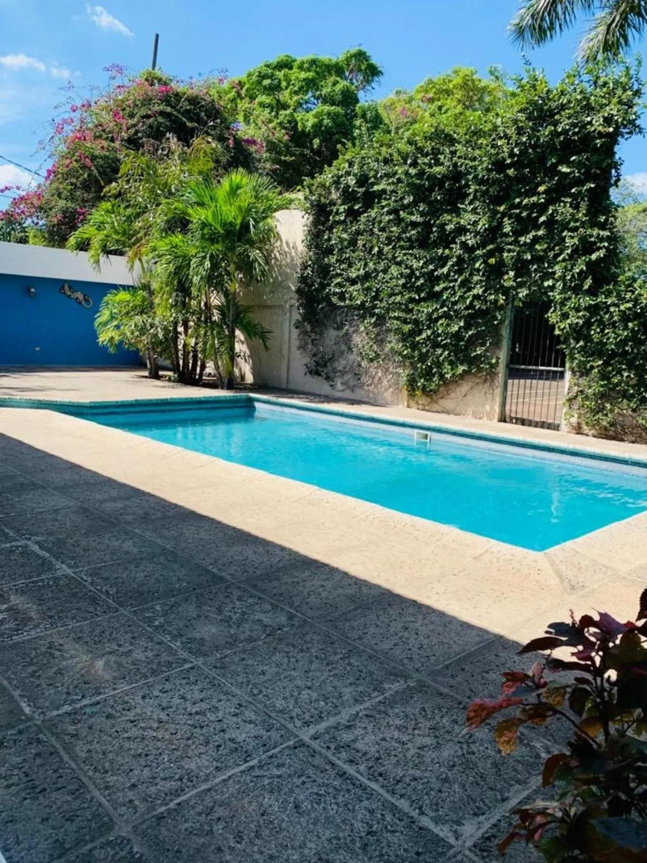 Pool view in Hotel Casa del Sol