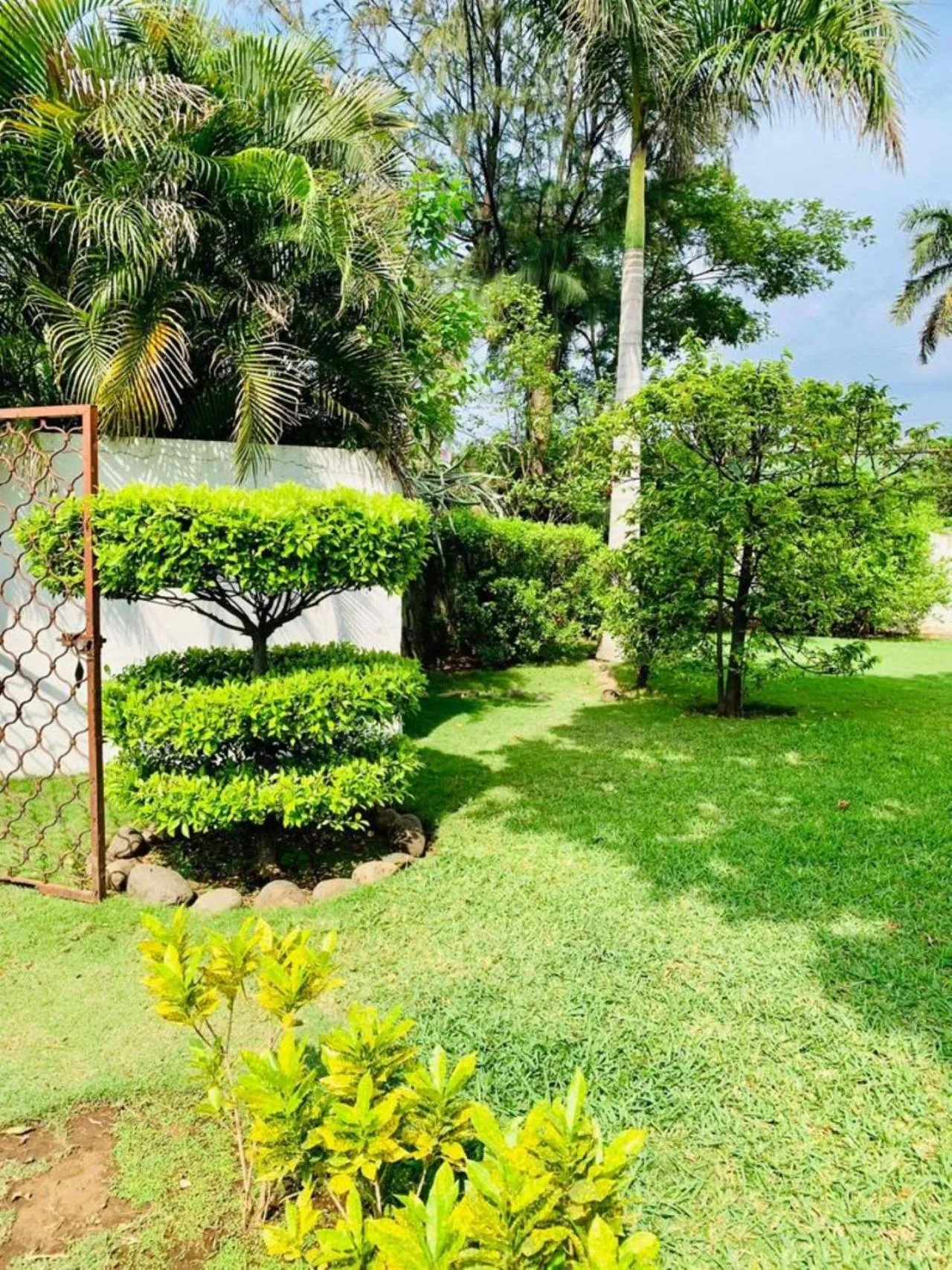 Garden in Hotel Casa del Sol