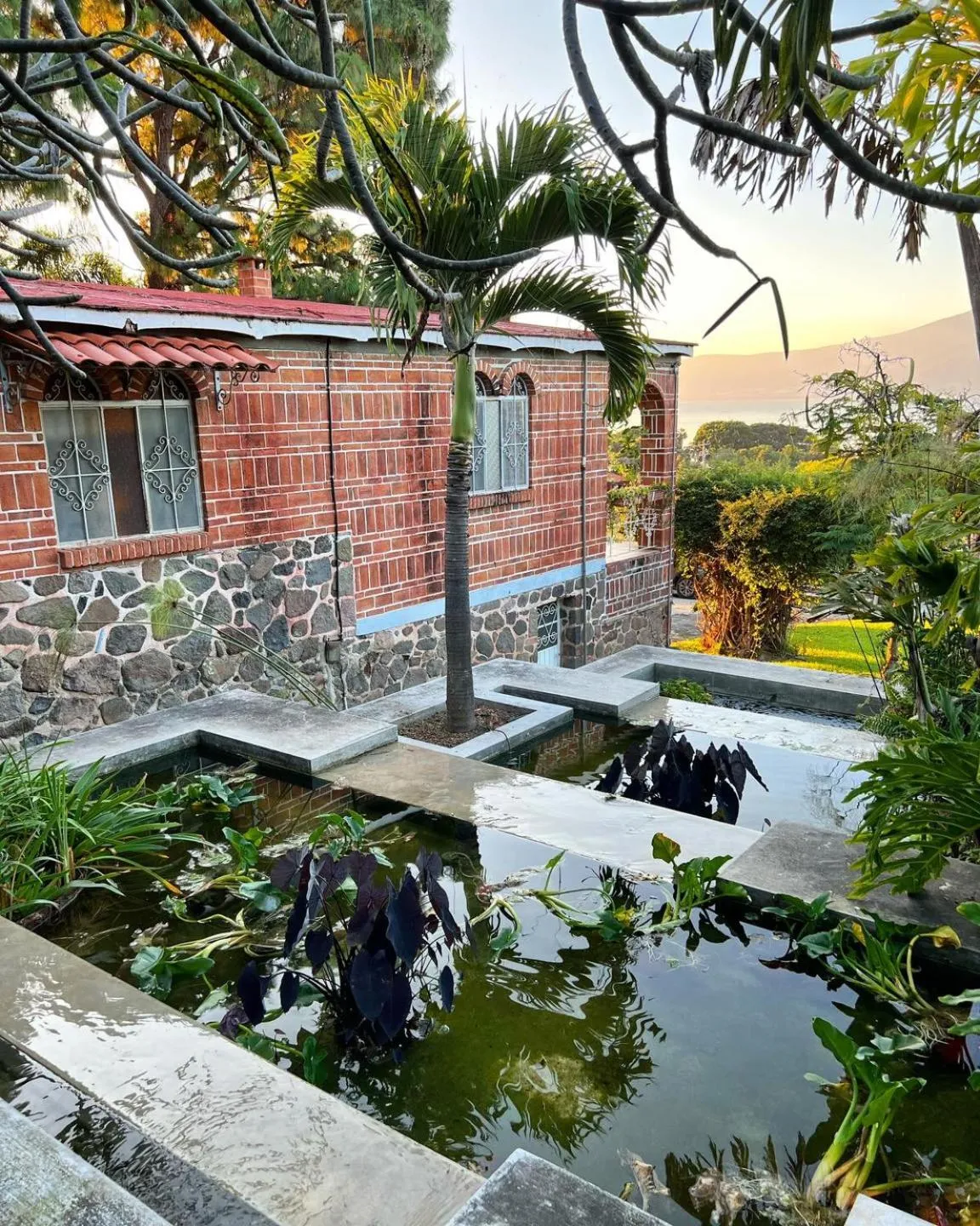Garden in Mama Chuy Hotel & Villas Ajijic