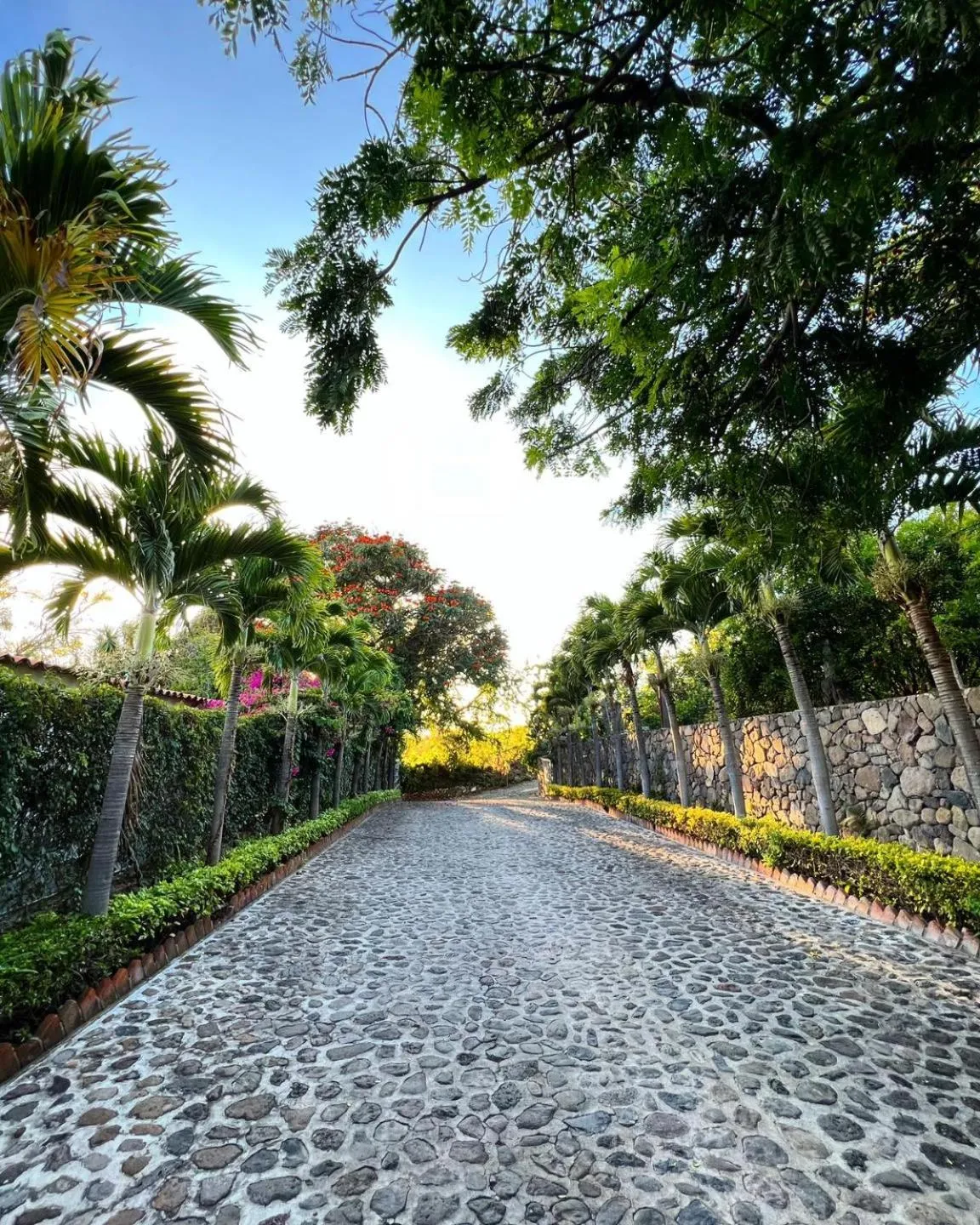 Garden in Mama Chuy Hotel & Villas Ajijic