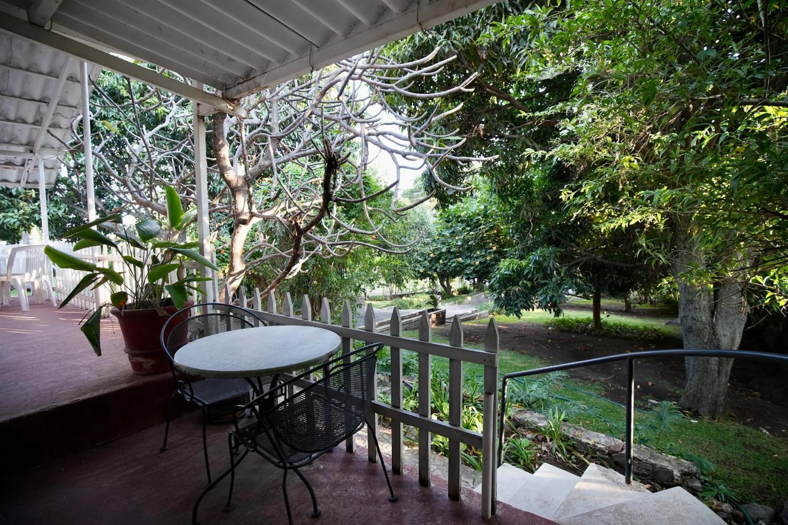 Balcony/Terrace in Mama Chuy Hotel & Villas Ajijic