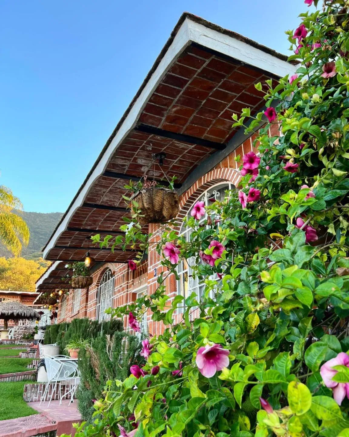 Garden view in Mama Chuy Hotel & Villas Ajijic