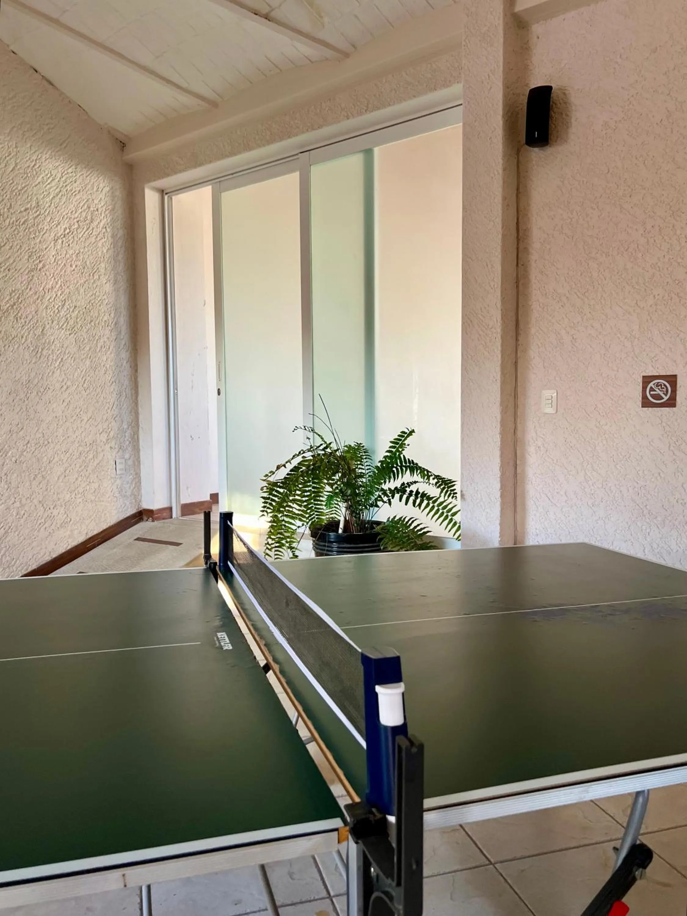 Game Room in Mama Chuy Hotel & Villas Ajijic