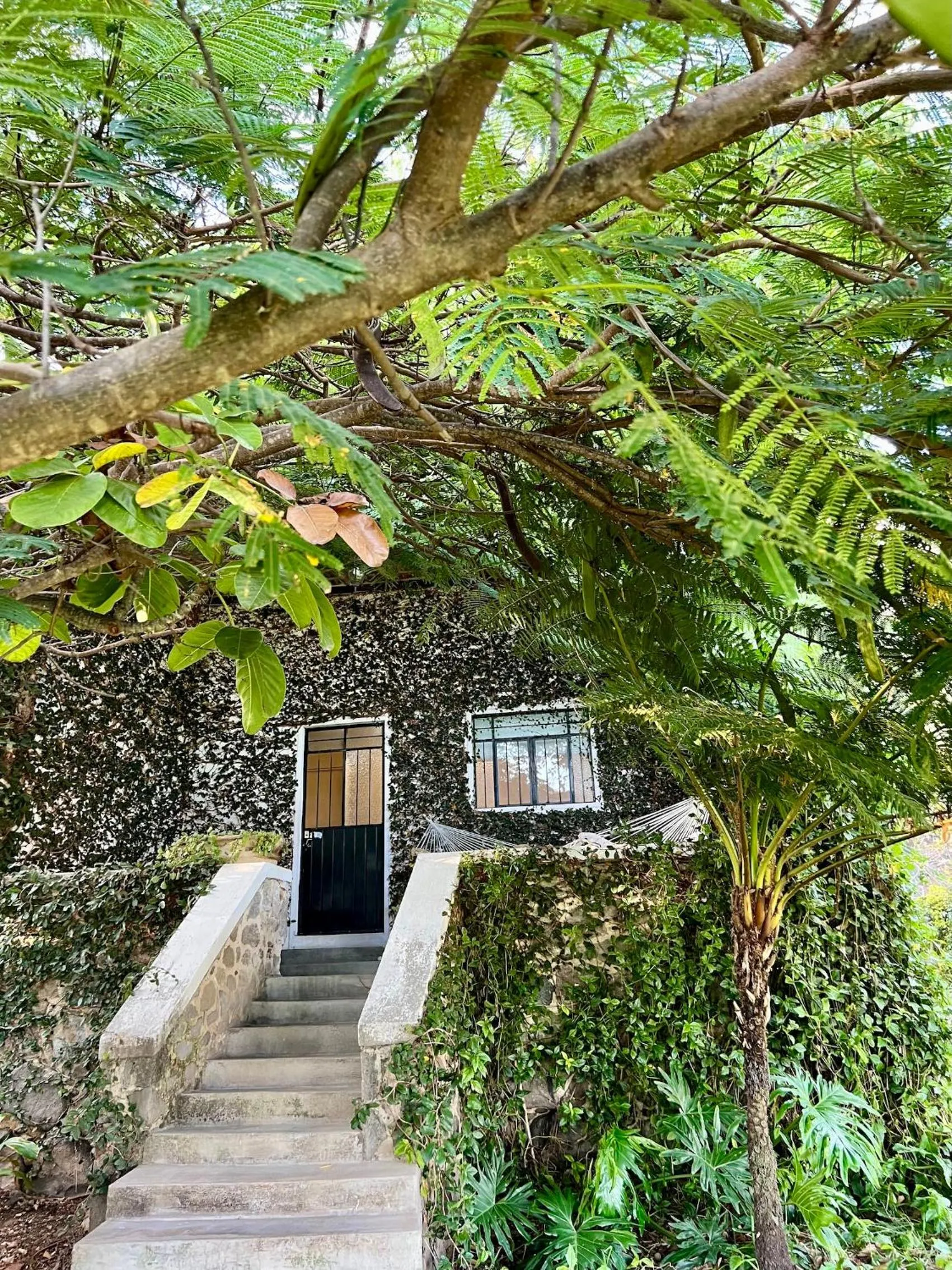 Garden in Mama Chuy Hotel & Villas Ajijic