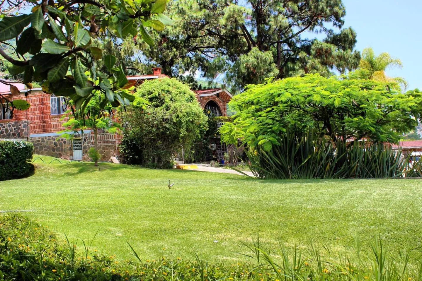 Garden in Mama Chuy Hotel & Villas Ajijic