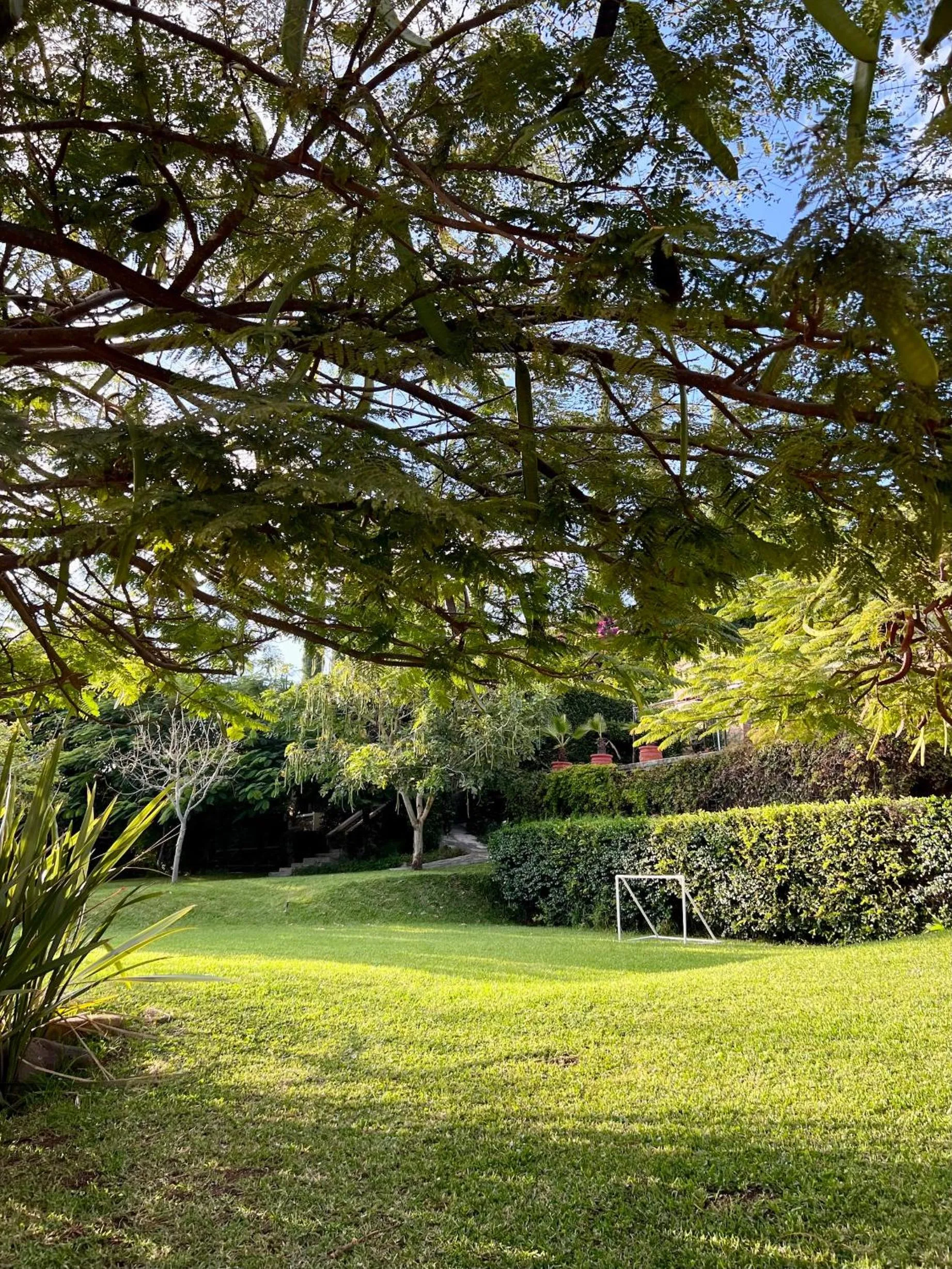 Sports in Mama Chuy Hotel & Villas Ajijic