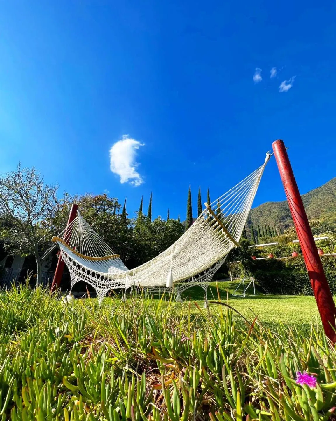 Day in Mama Chuy Hotel & Villas Ajijic