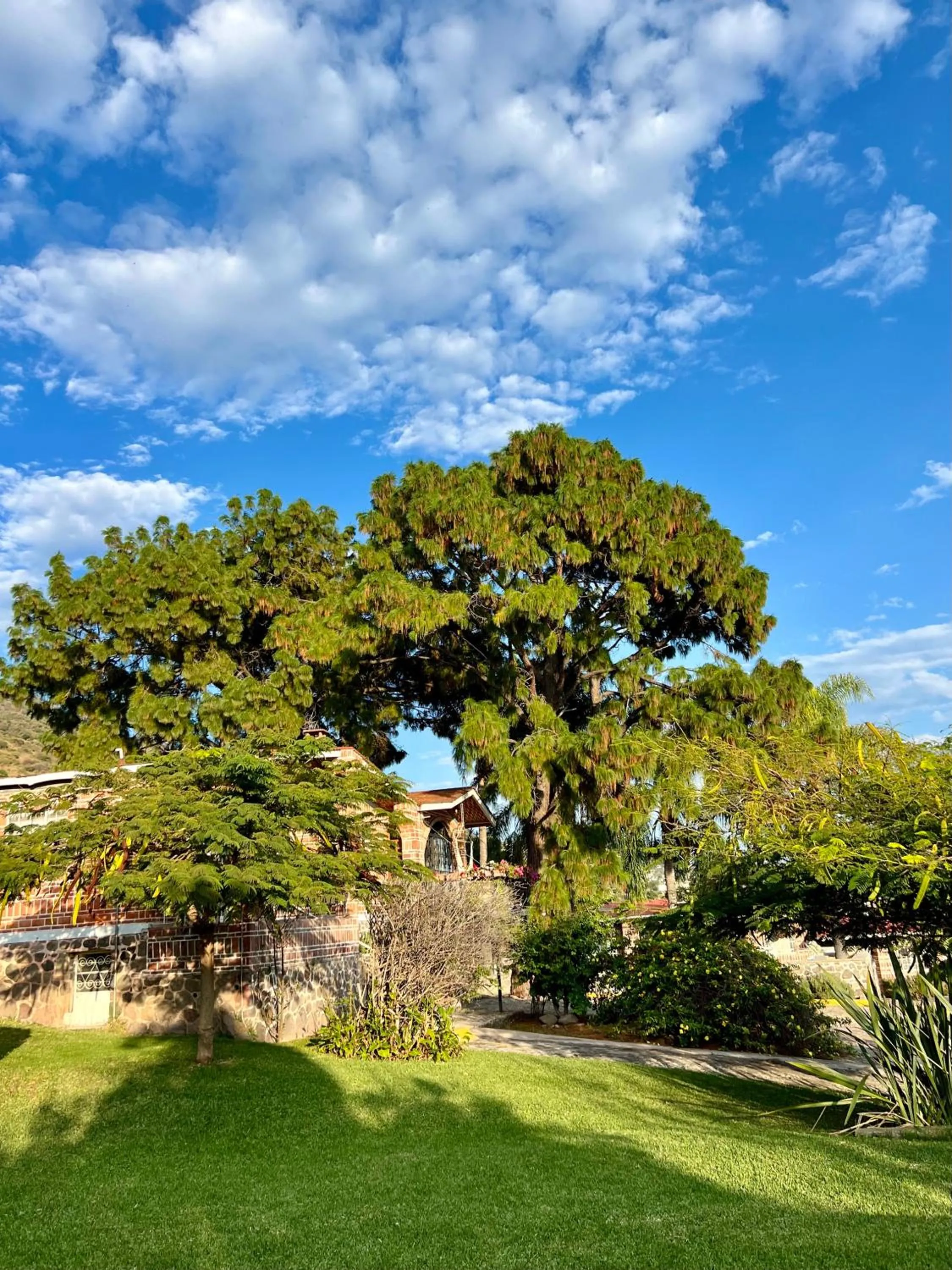 Natural landscape in Mama Chuy Hotel & Villas Ajijic
