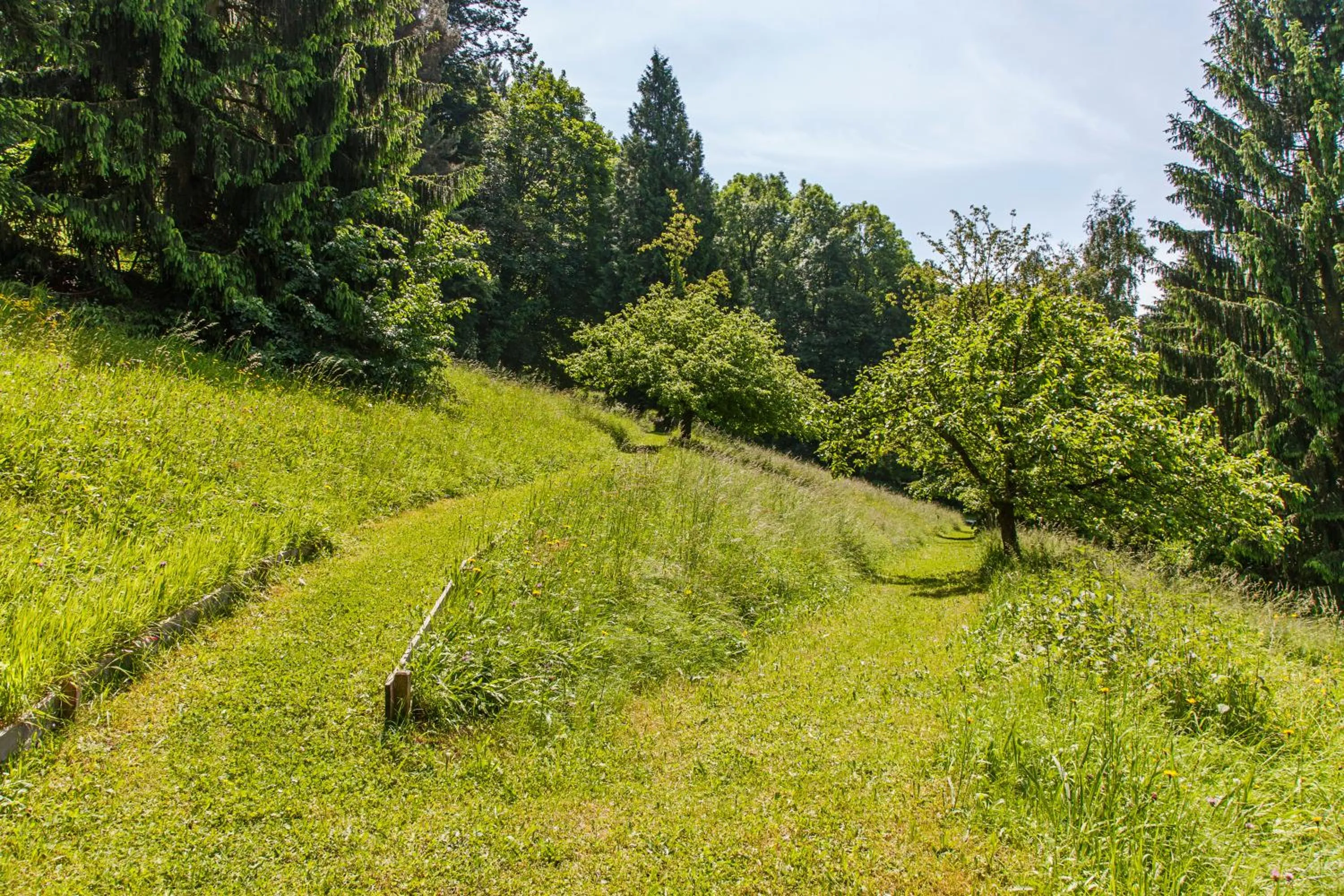 Natural landscape in Caritas Tagungszentrum