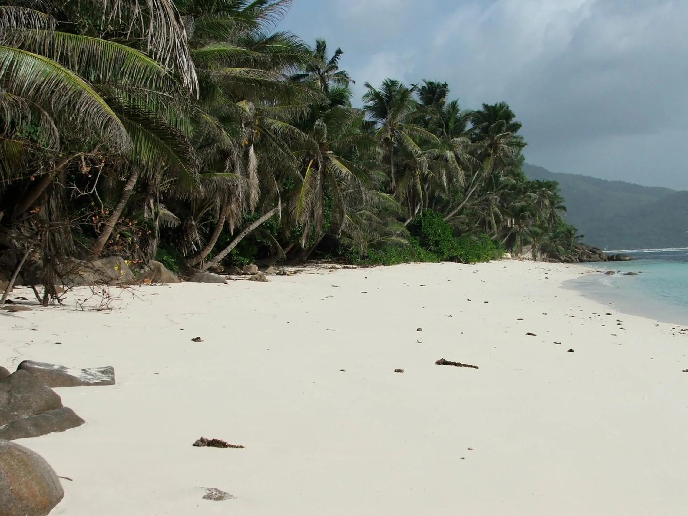 Natural landscape in Paradise Chalets Yoga & Wellness