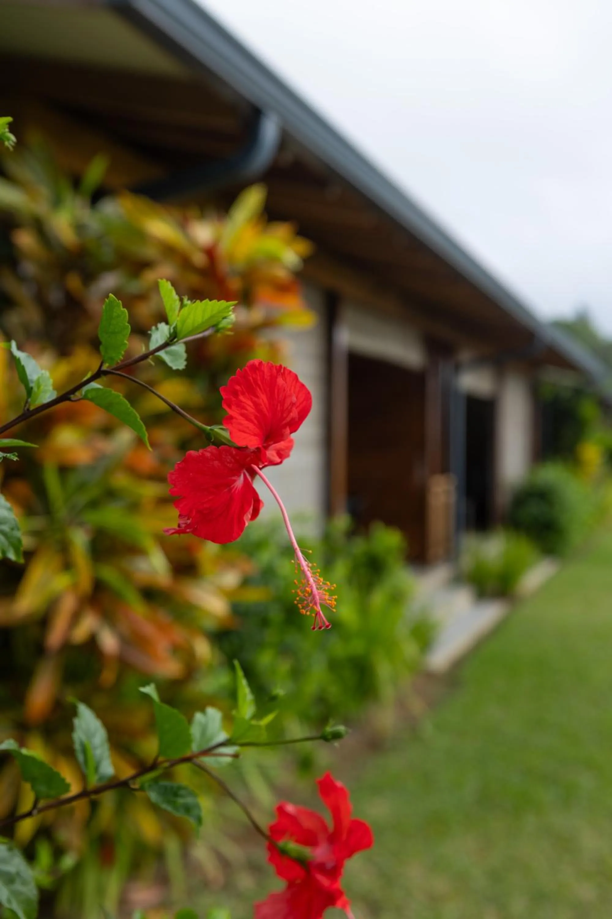 Garden in Paradise Chalets Yoga & Wellness