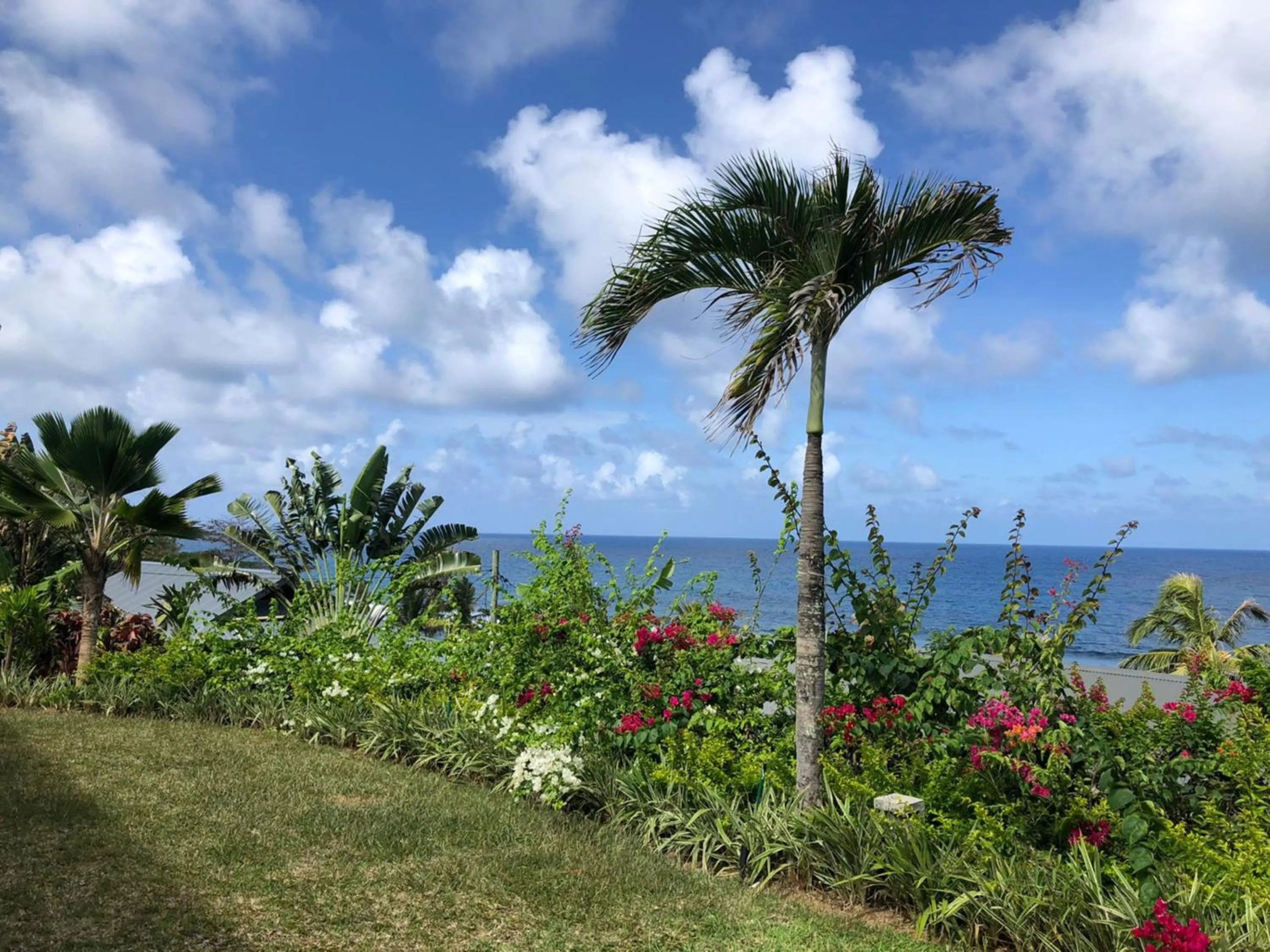 View (from property/room) in Paradise Chalets Yoga & Wellness