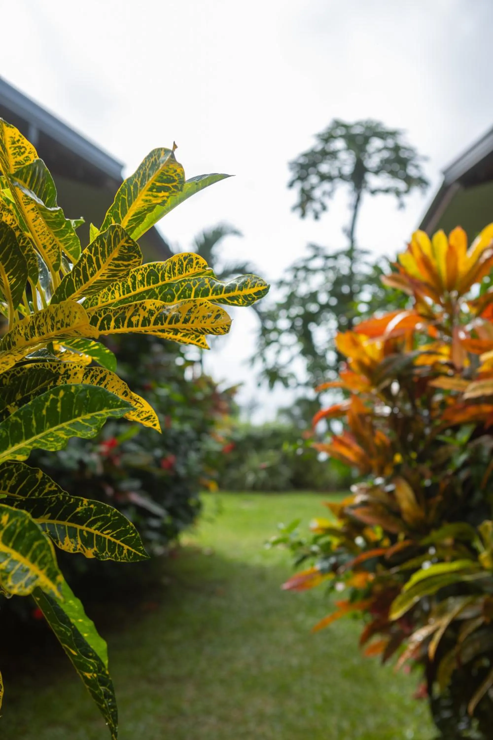 Garden in Paradise Chalets Yoga & Wellness