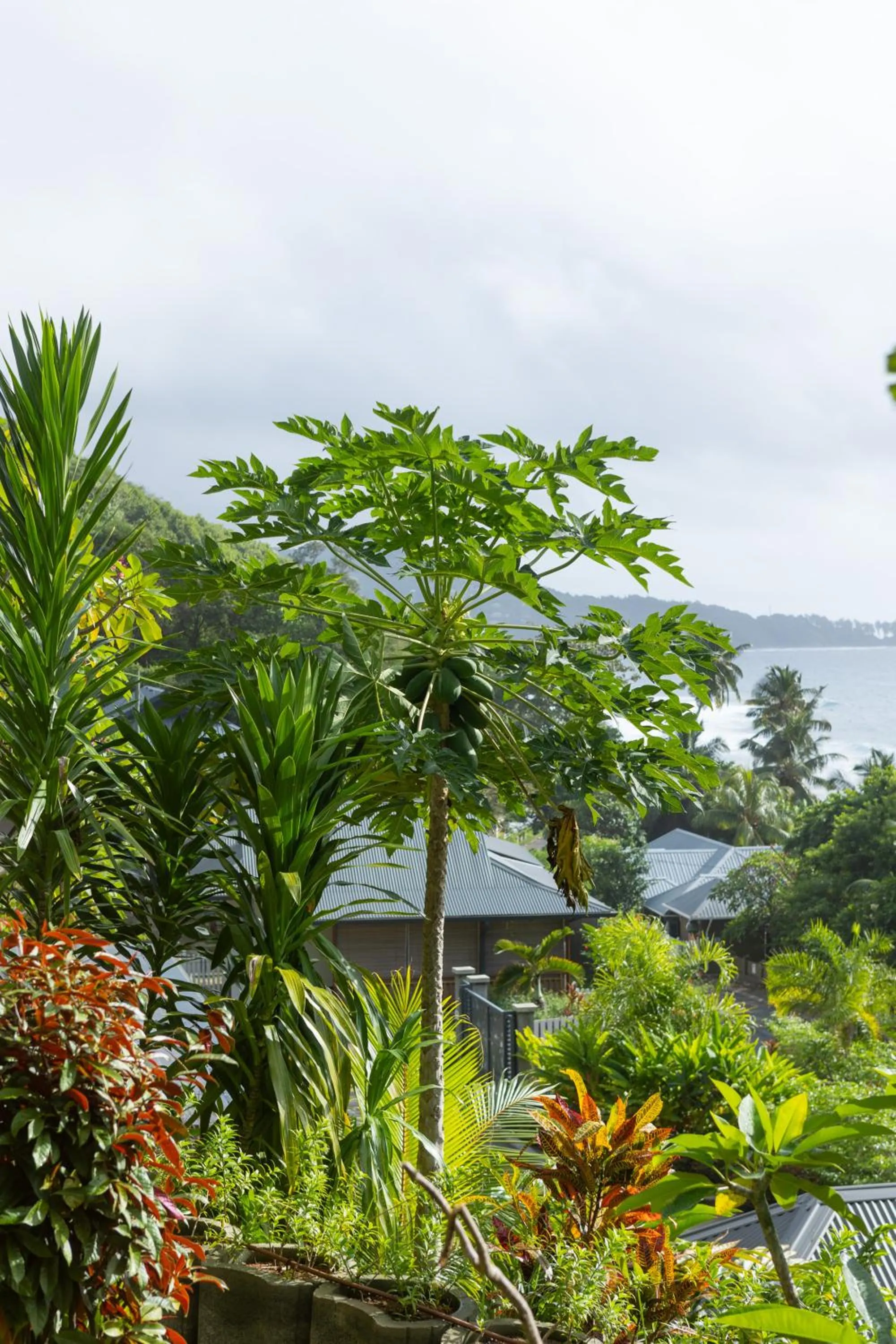 Garden in Paradise Chalets Yoga & Wellness
